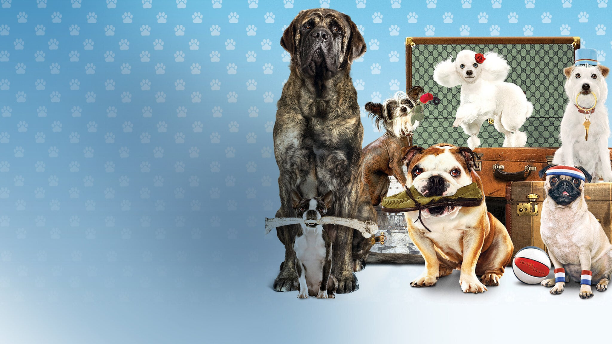 Hundpensionatet