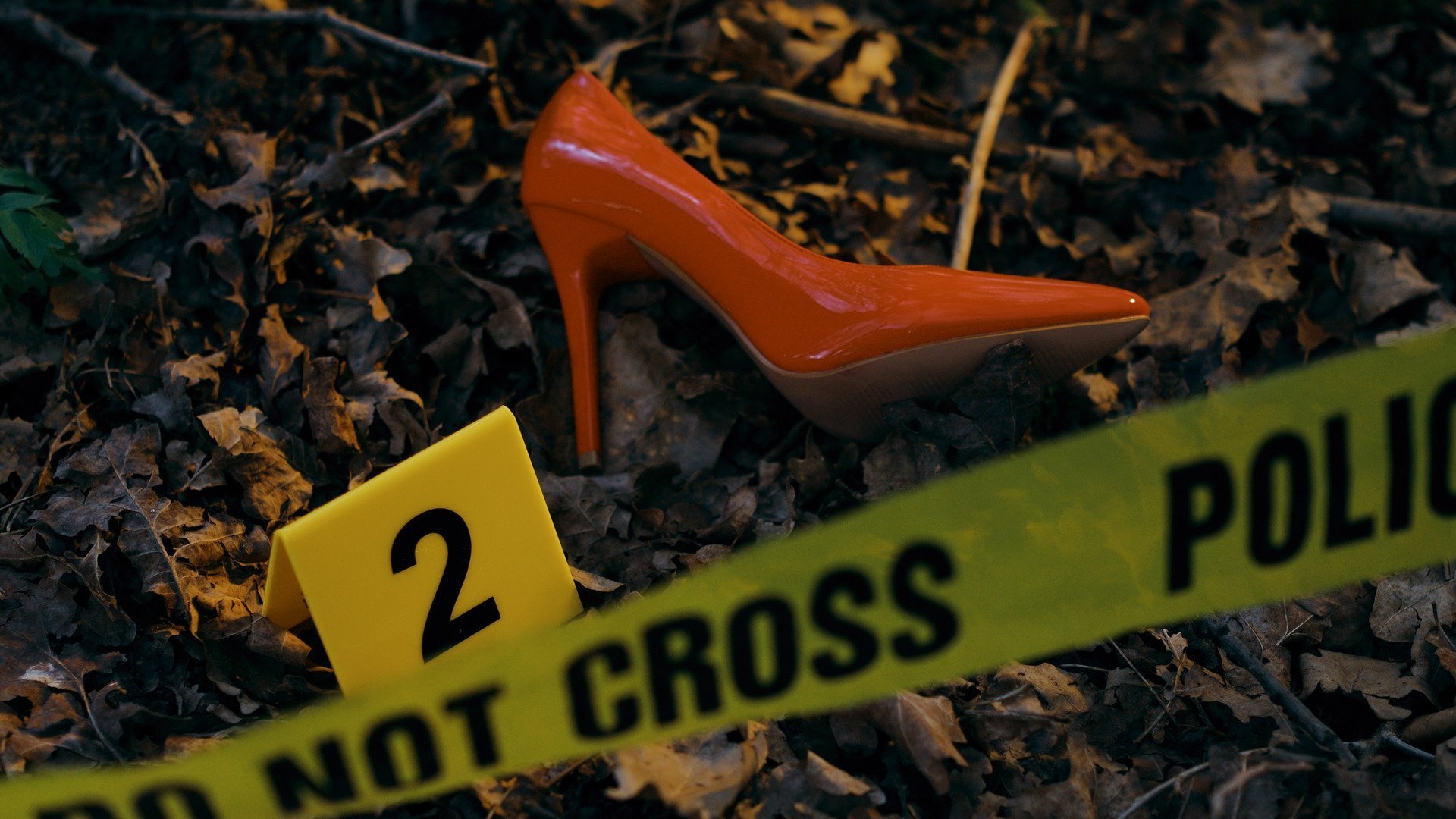 8. Detective Dorothy, Psychic Healer, Star Prophecy