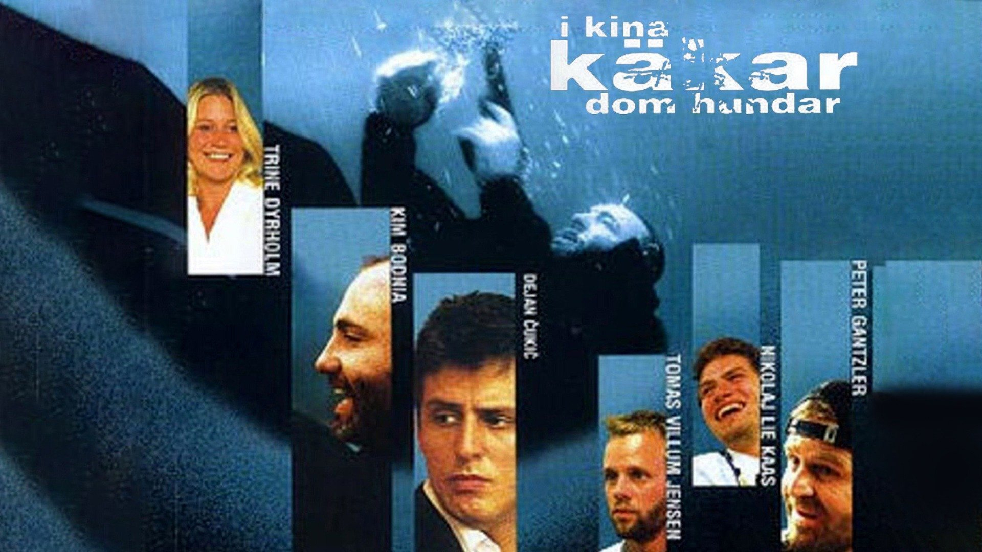 I Kina käkar dom hundar