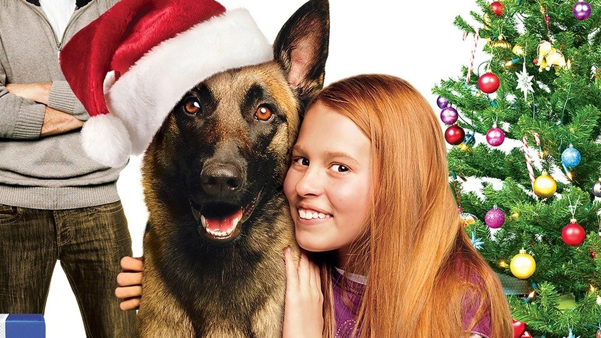 Saving Christmas