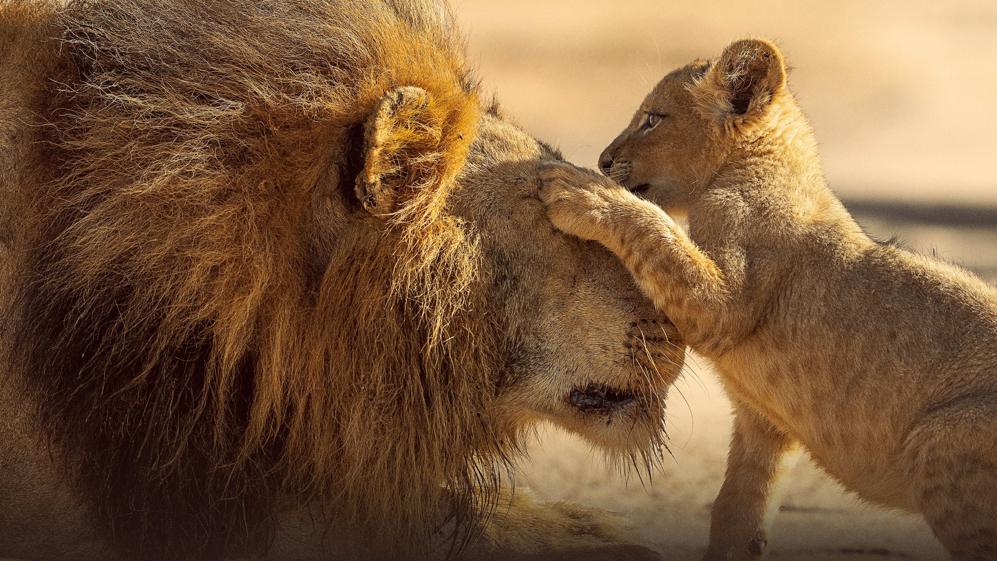 Världens natur: Vilda föräldrar
