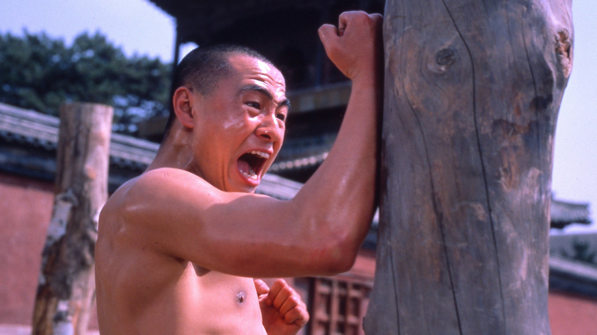 Disciples of Shaolin Temple