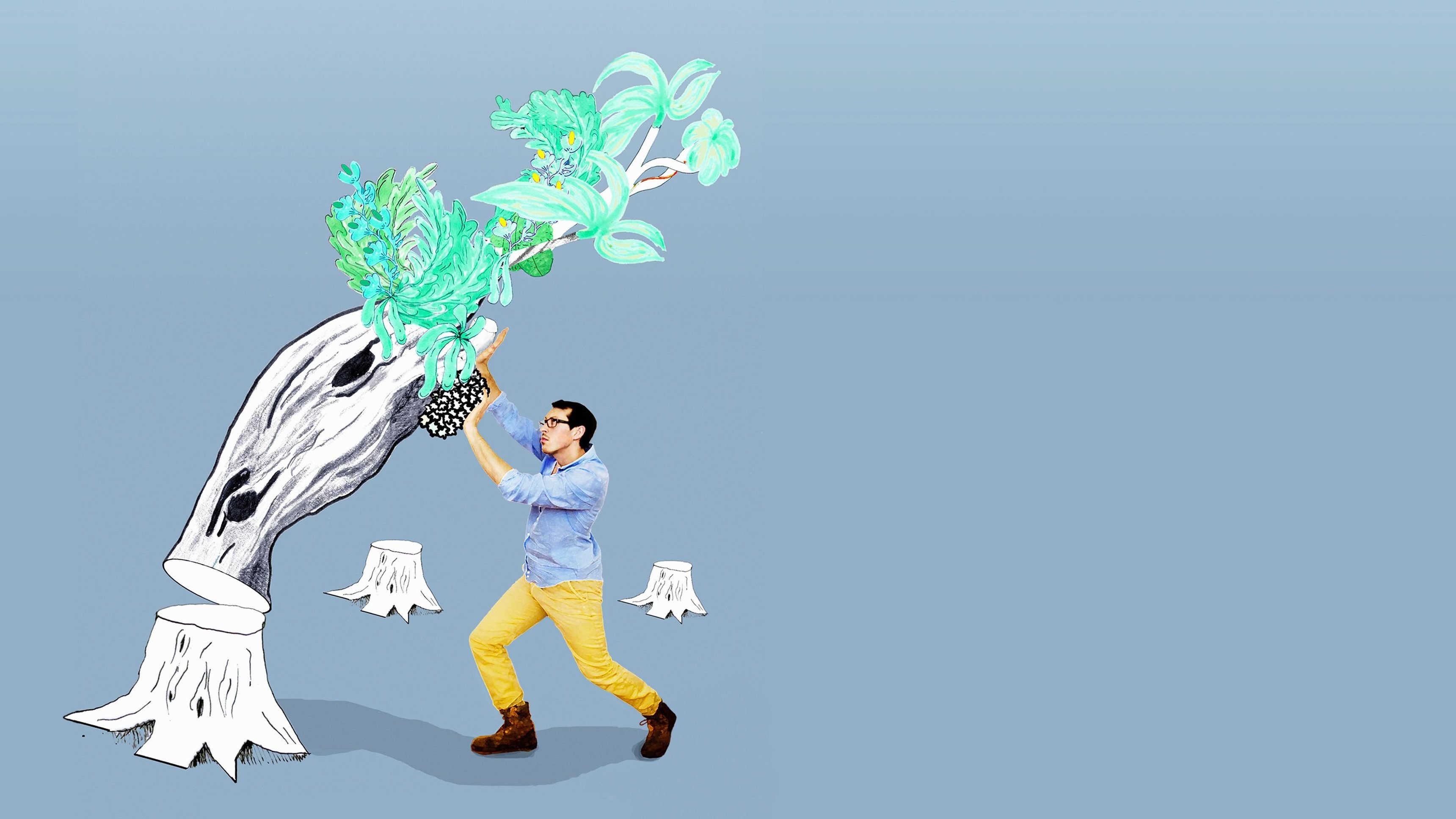 Jag köpte en regnskog