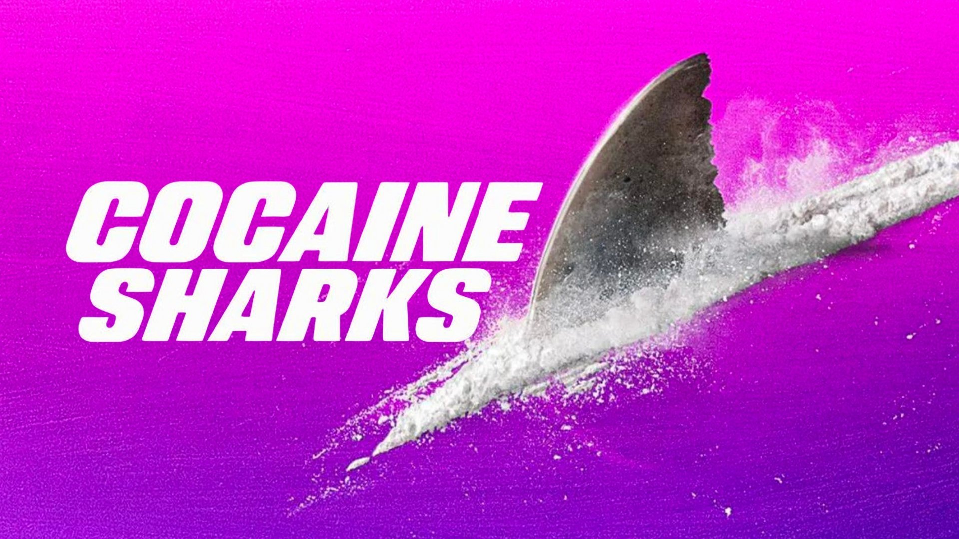 Cocaine Sharks