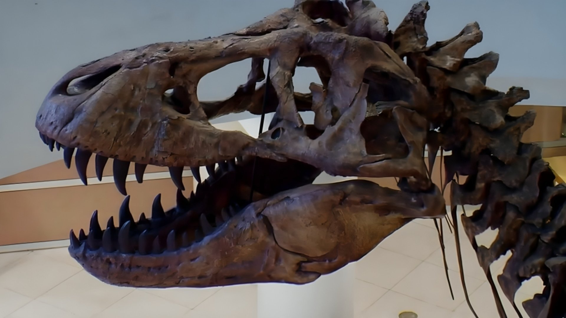 16. Unexplained Mysteries