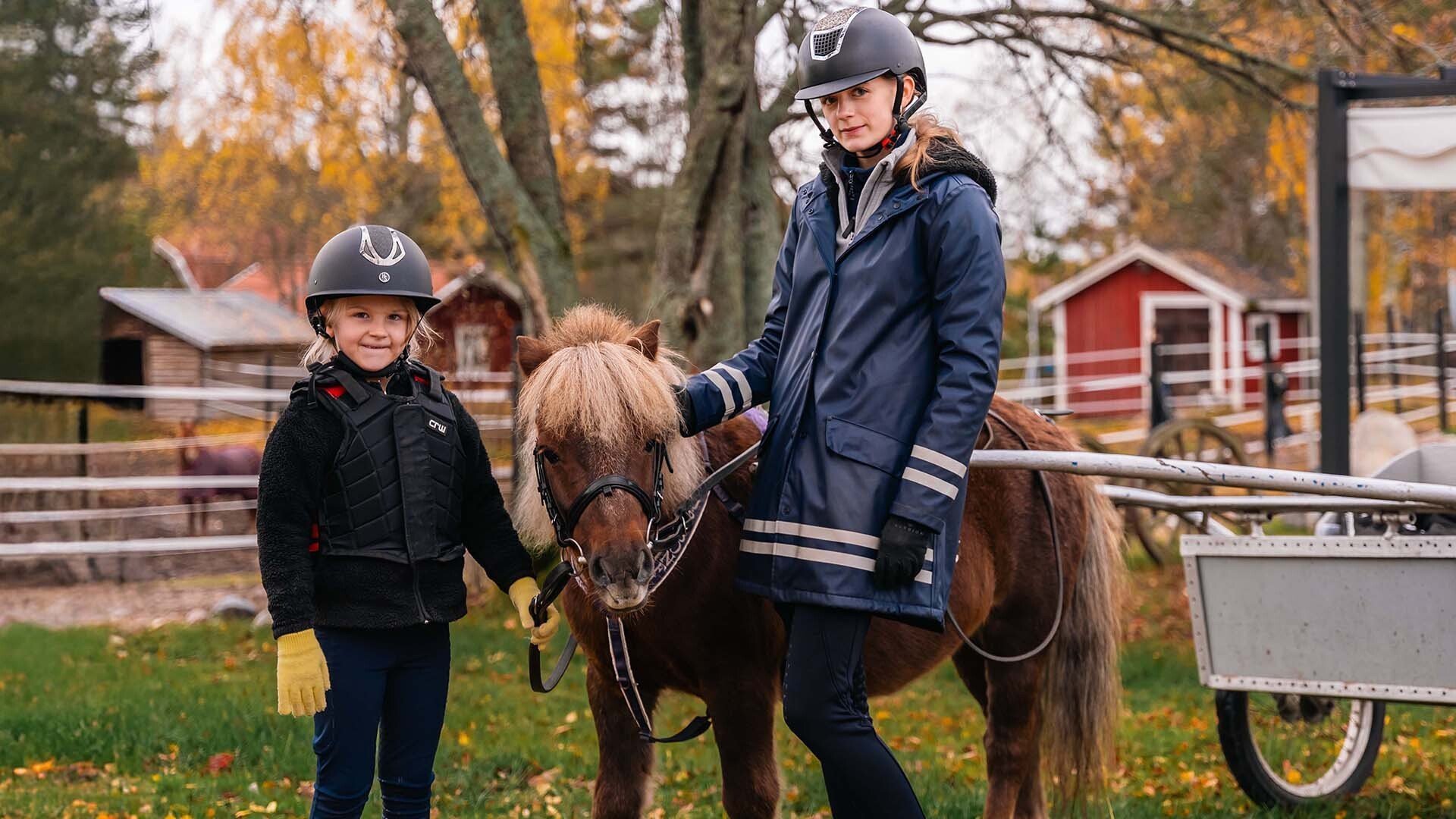 9. Shetlandsponnyn Bullen