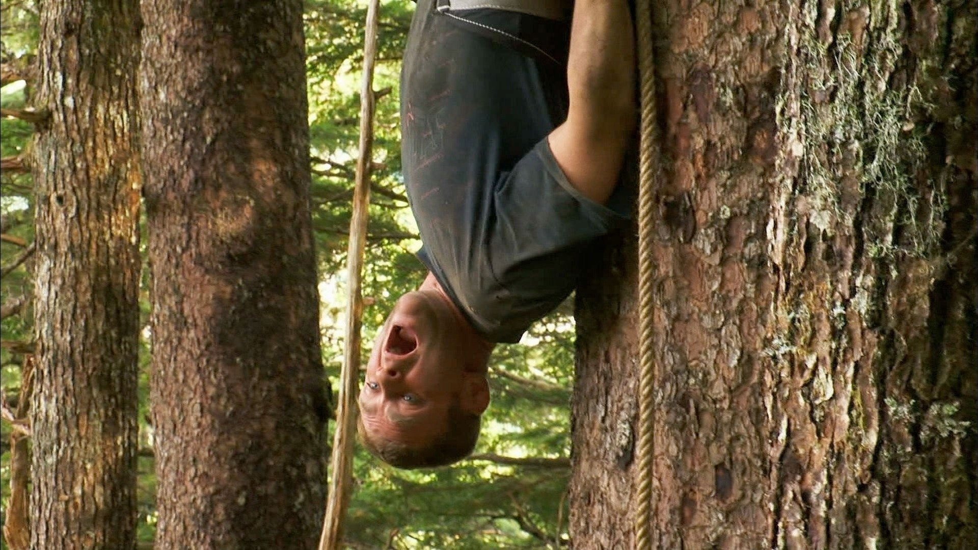 12. Davi and Goliath