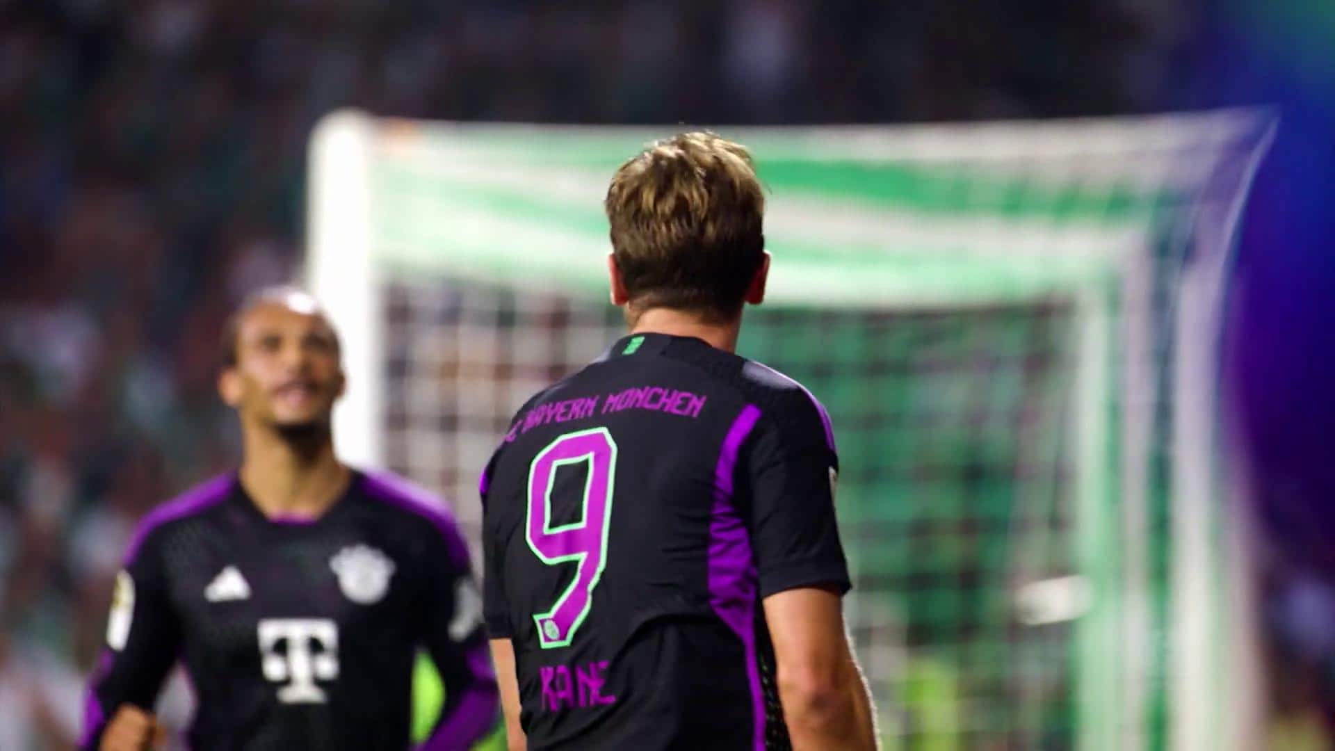 13. Bundesliga Clubs