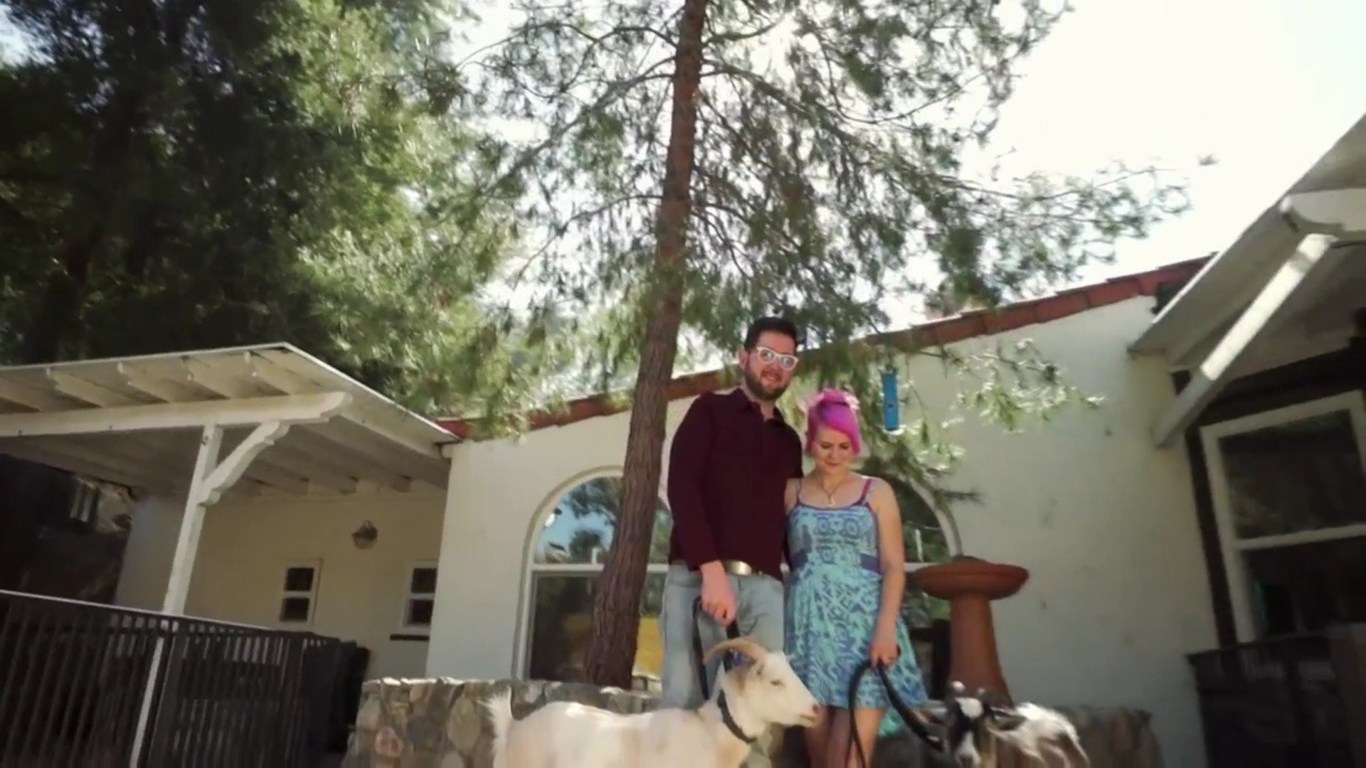 7. Pygmy Goat Playground
