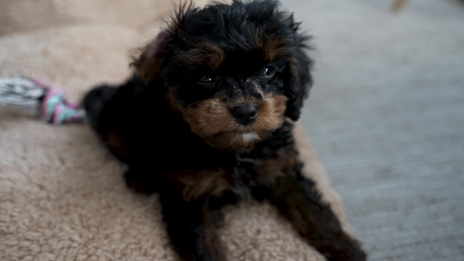 49. Miniteve: I naturen S01 E049