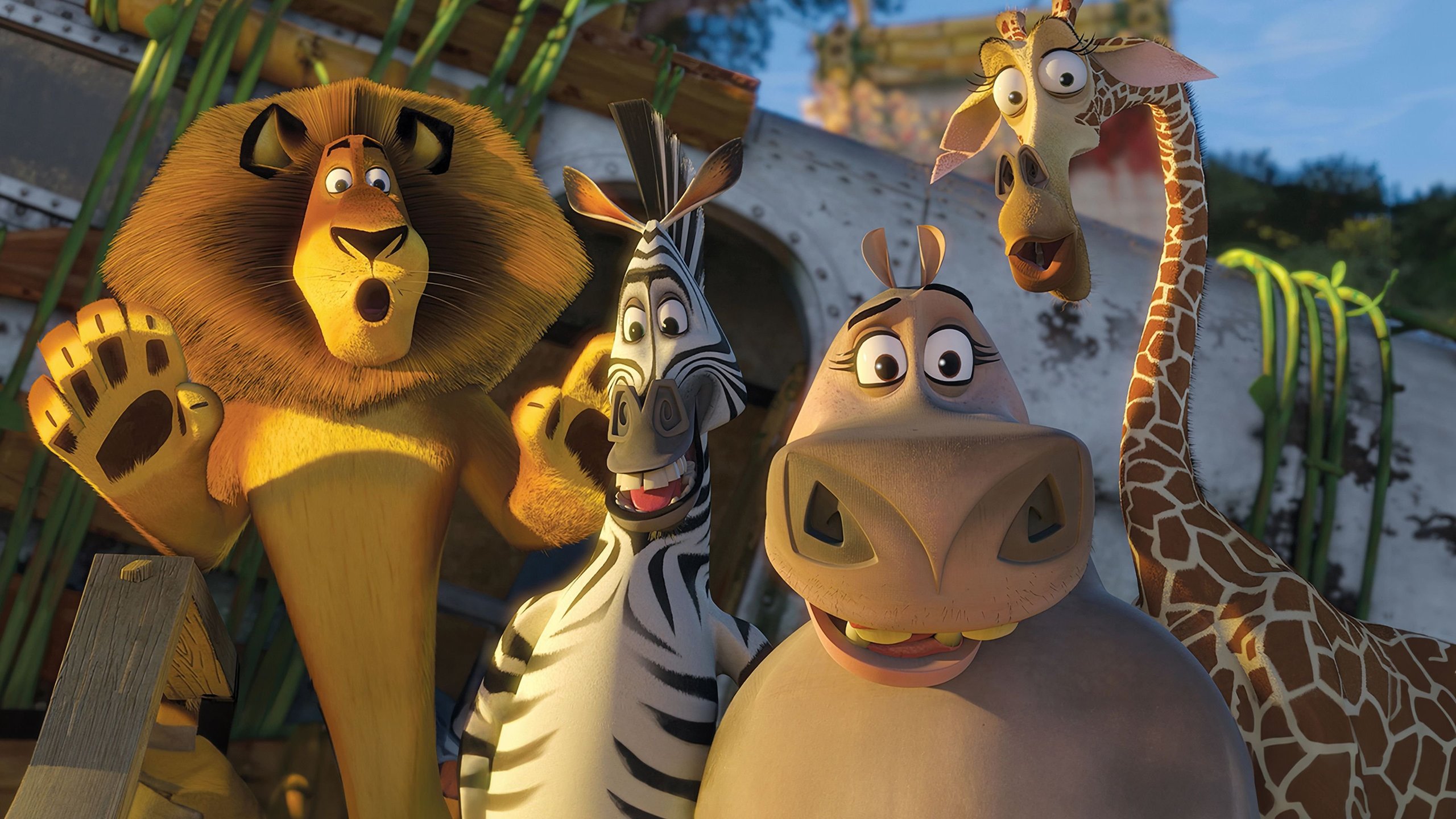 Madagaskar 2