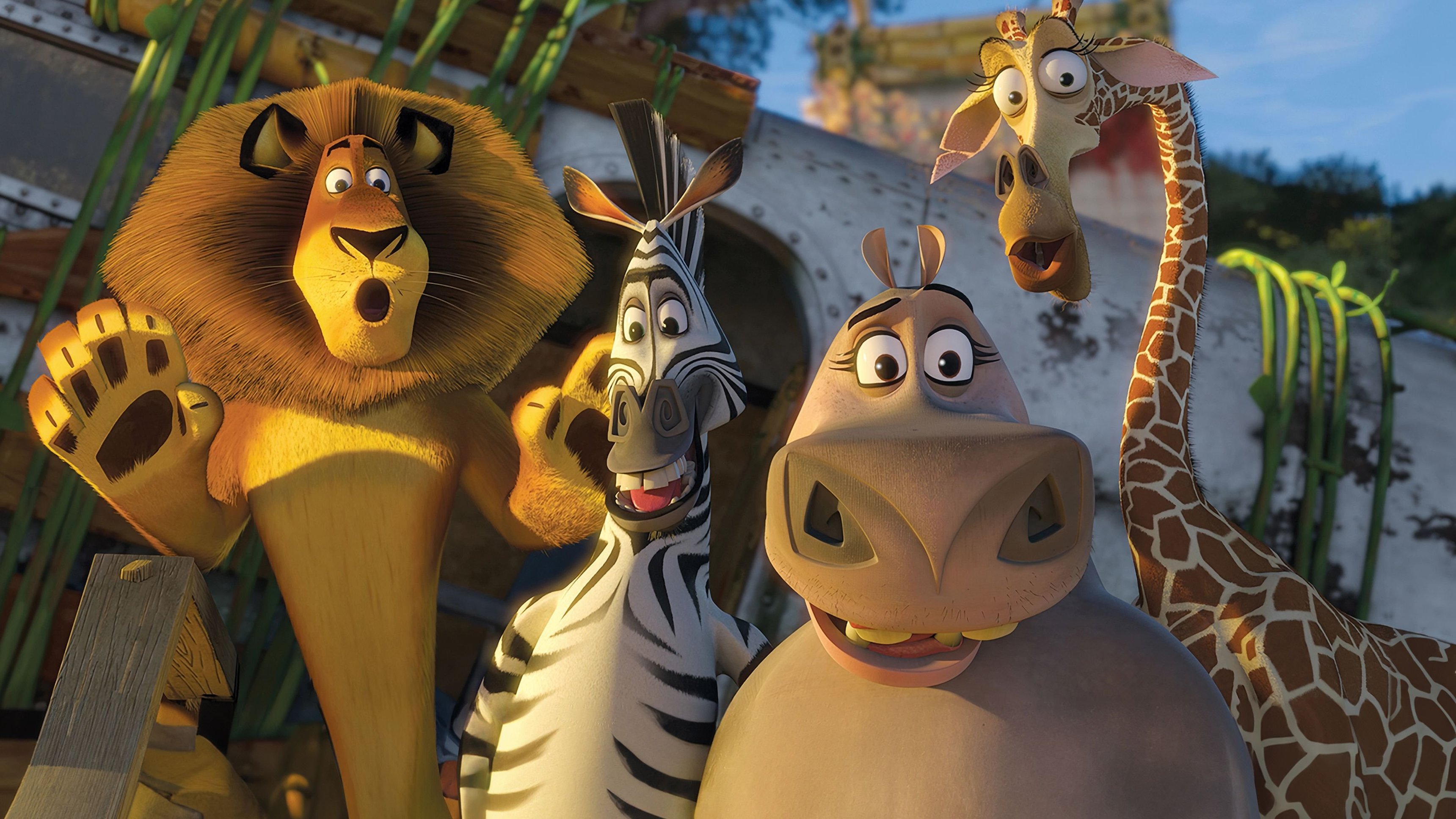 Madagaskar 2