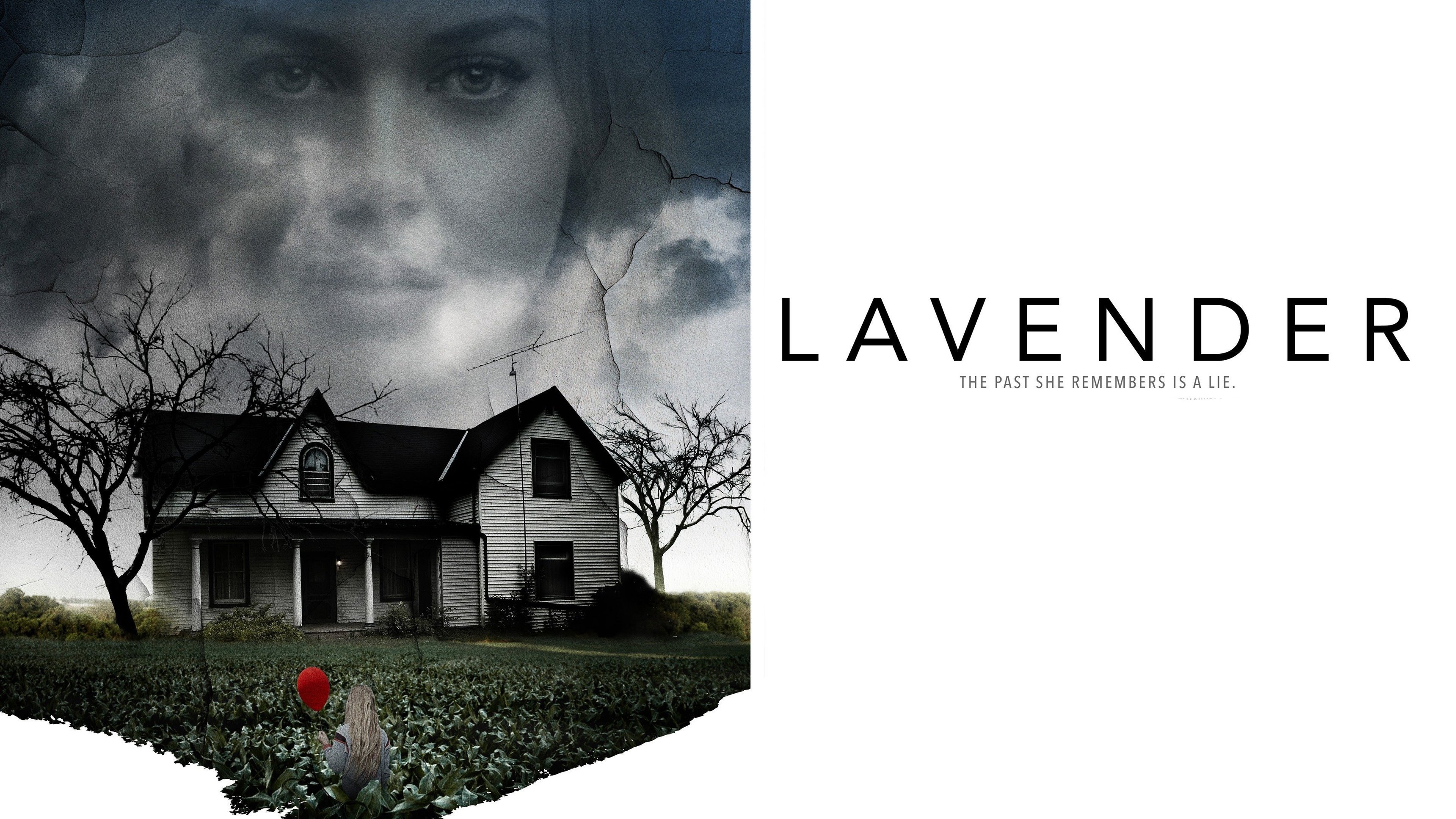 Lavender