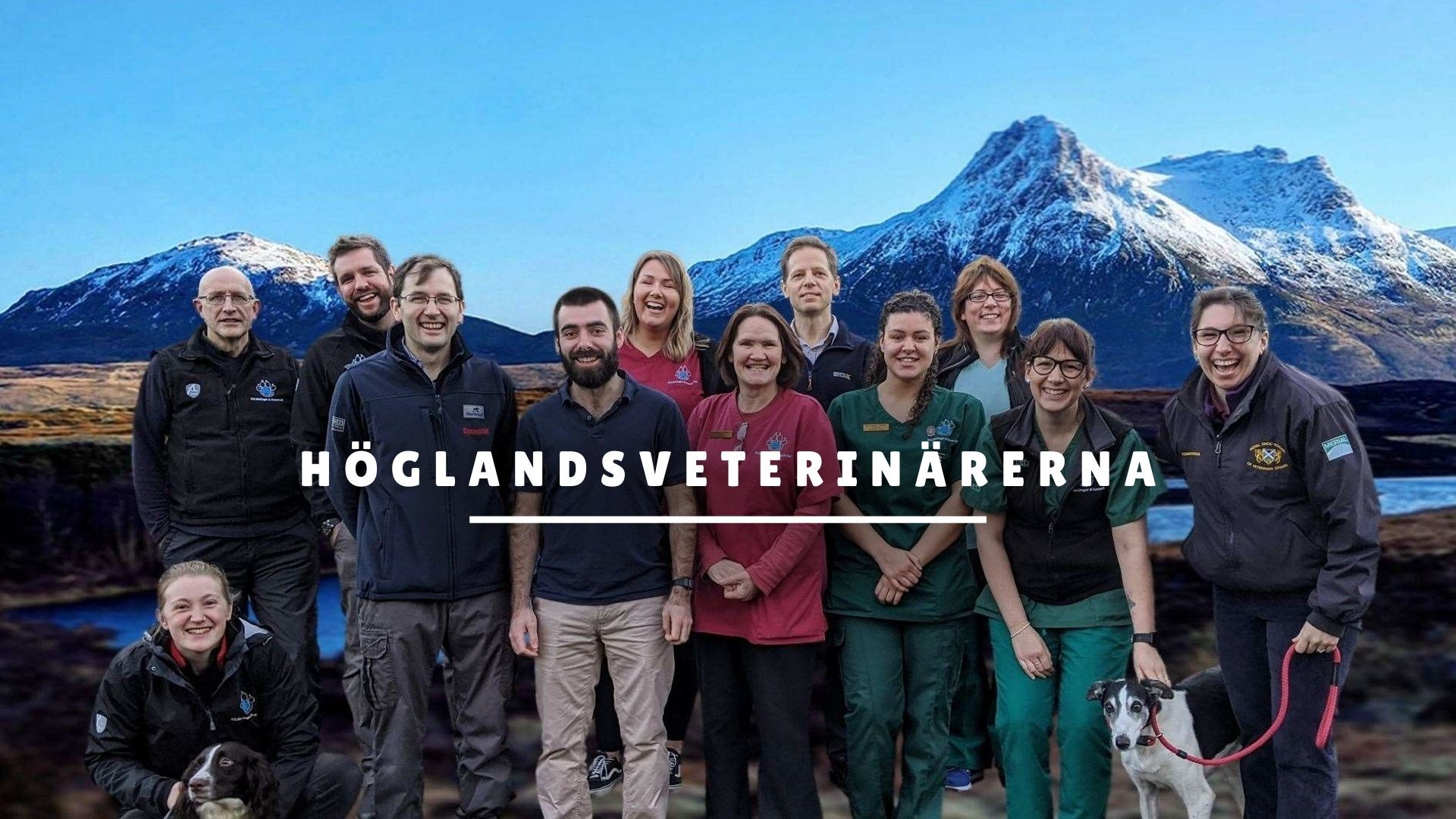 Höglandsveterinärerna