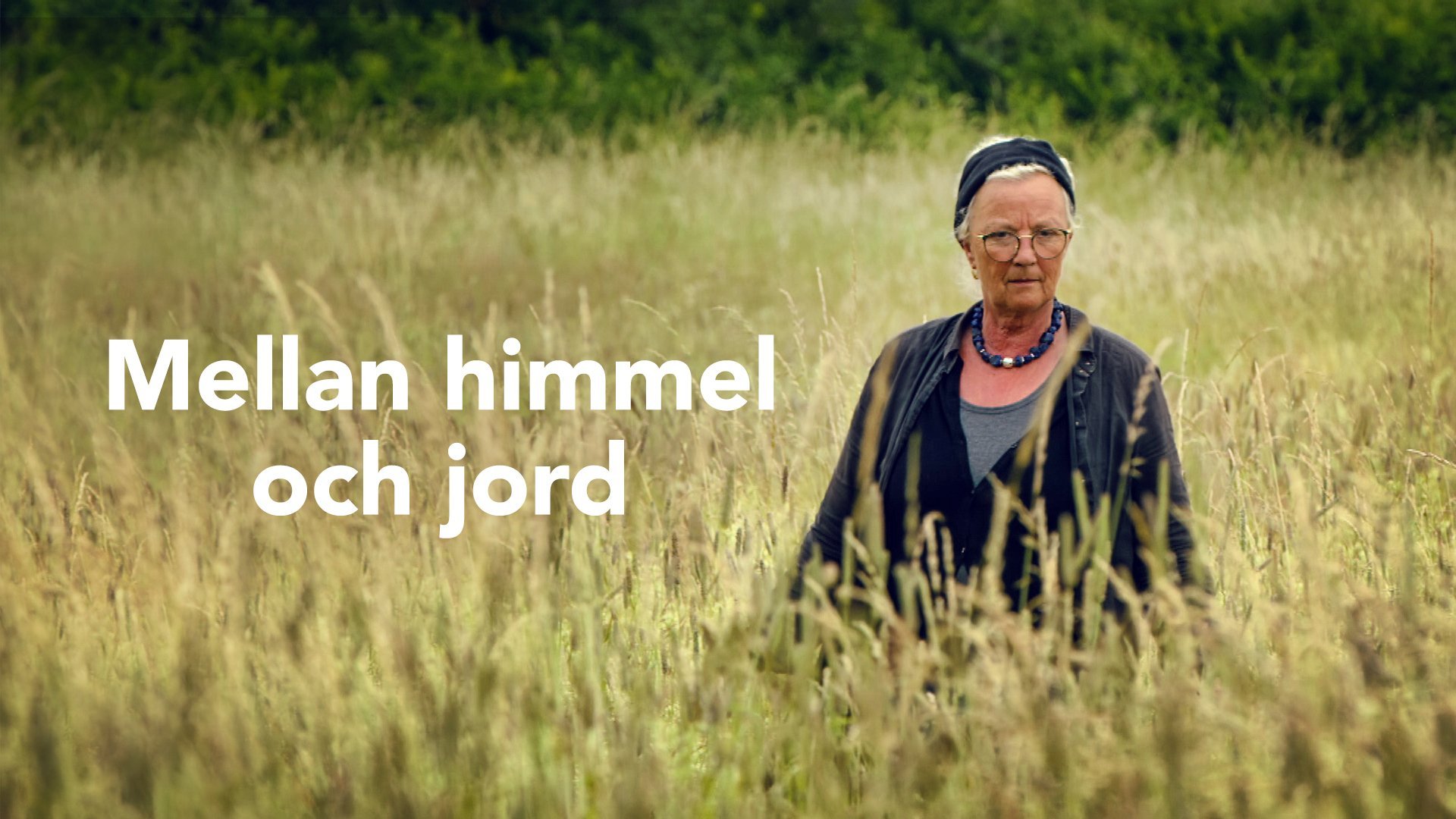 Mellan himmel och jord