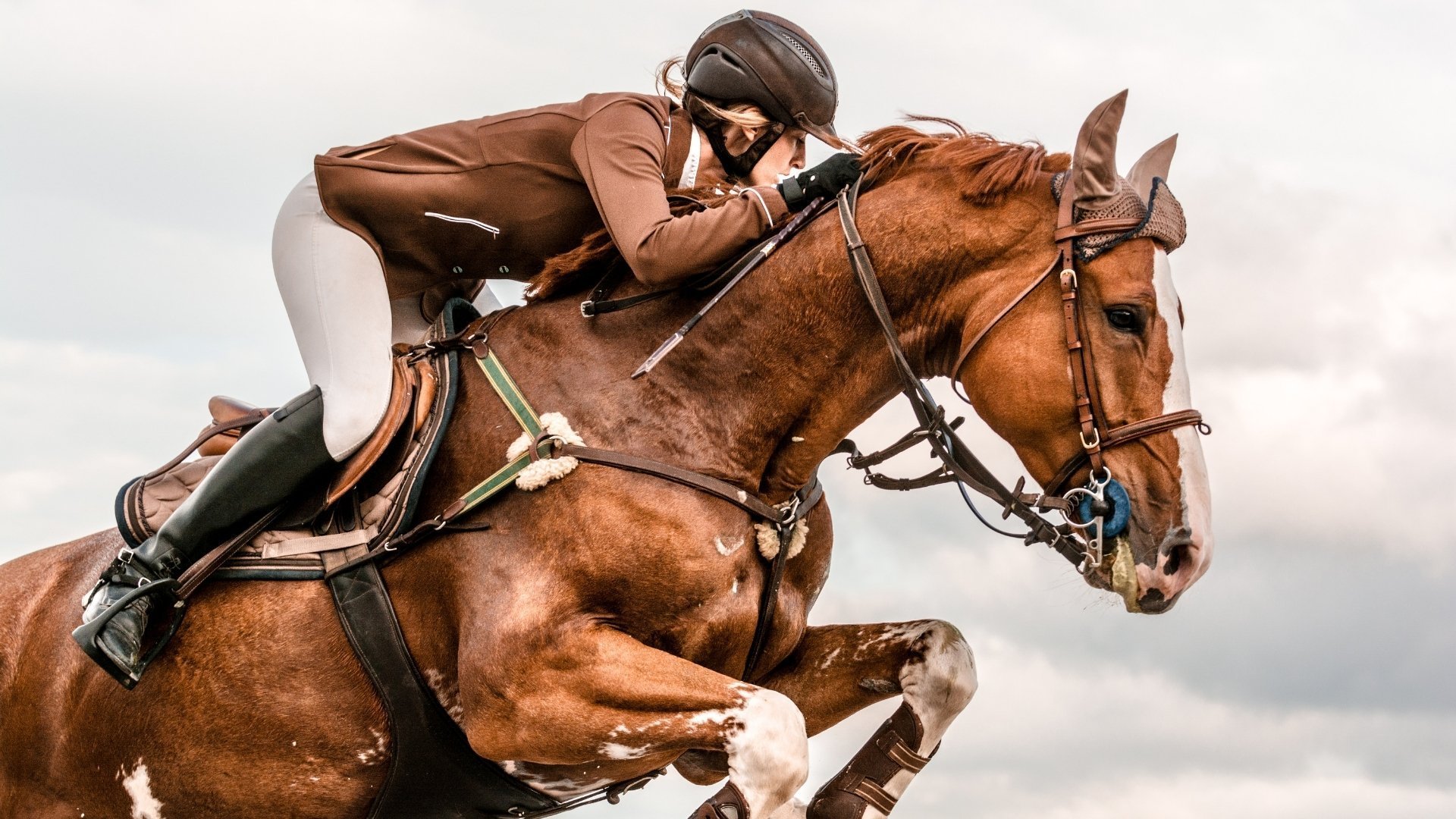 Equestrianism: CSI4* Casas Novas