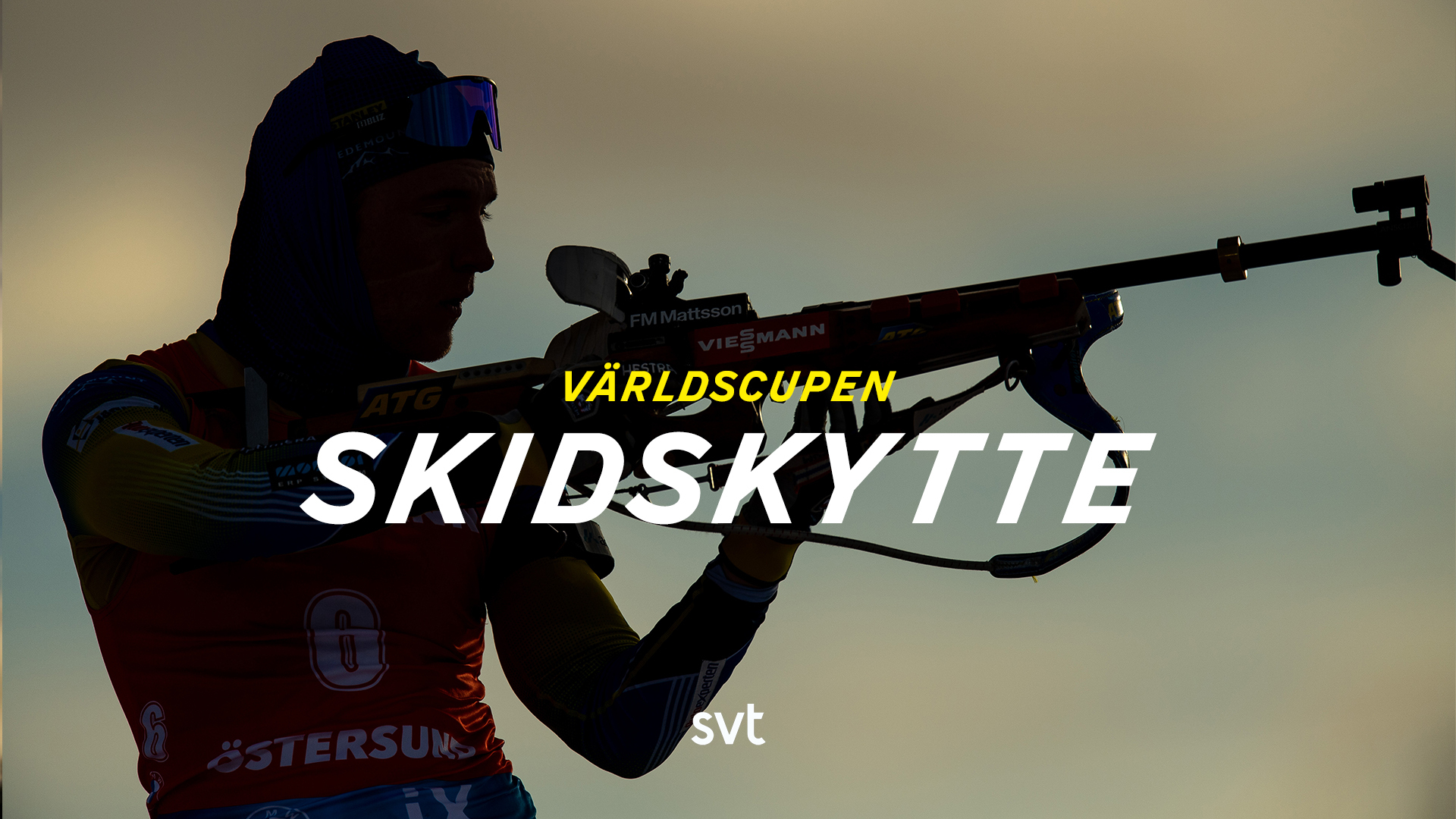 Skidskytte: Världscupen