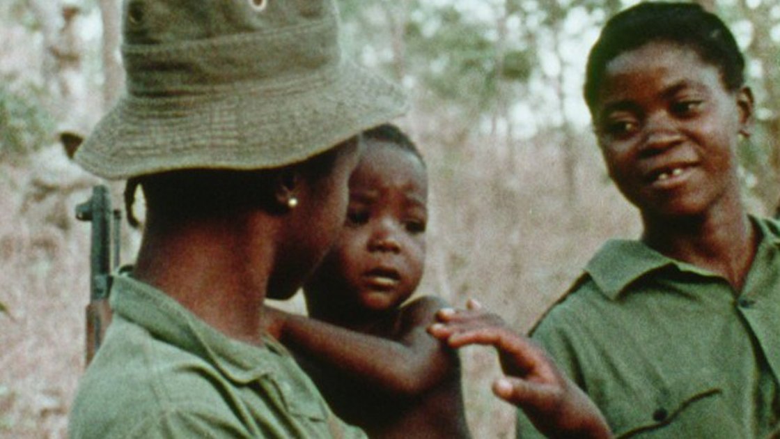 Concerning Violence