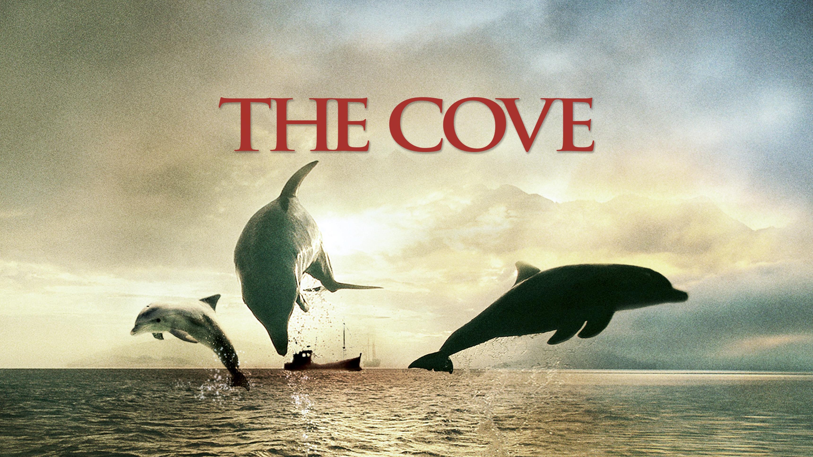 The Cove