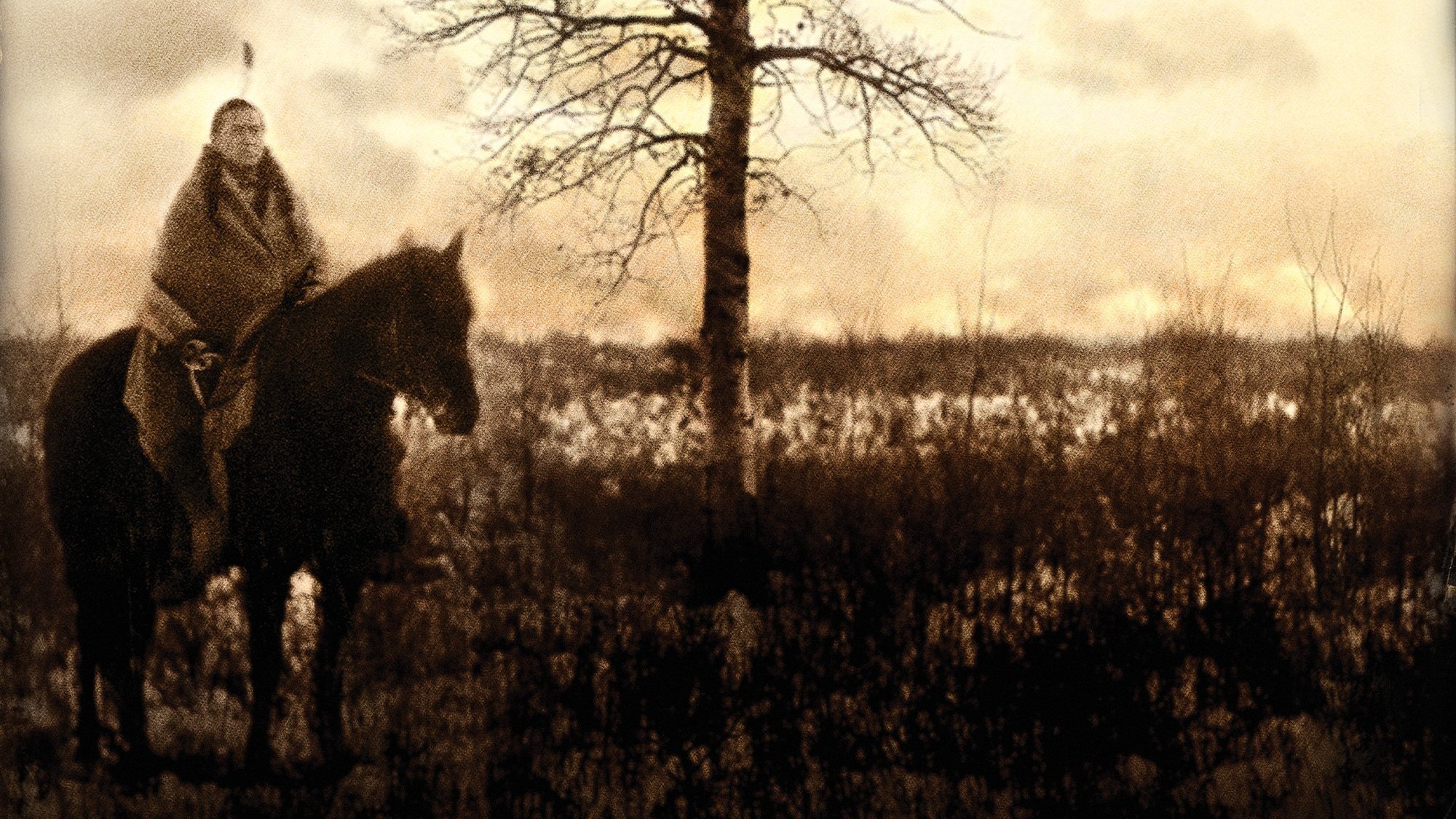Bury My Heart at Wounded Knee