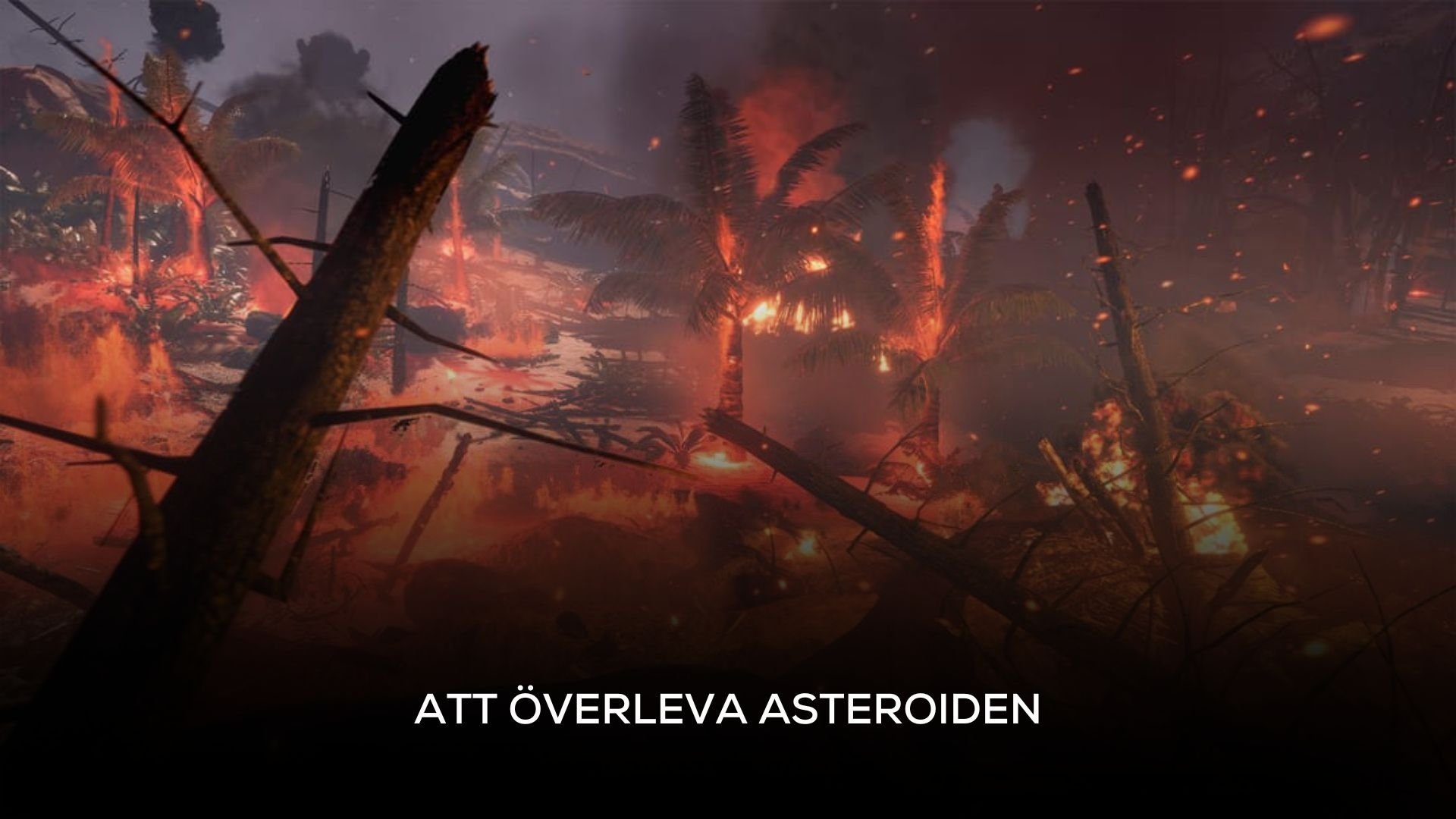 Att överleva asteroiden