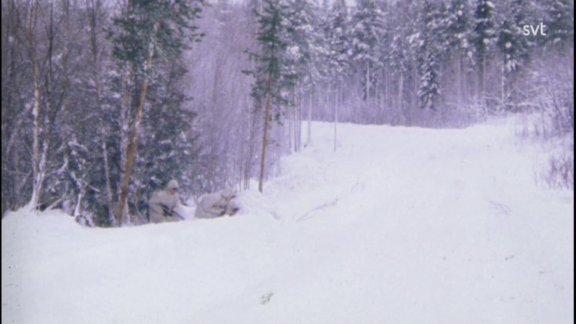 2. Finlands sak är svår