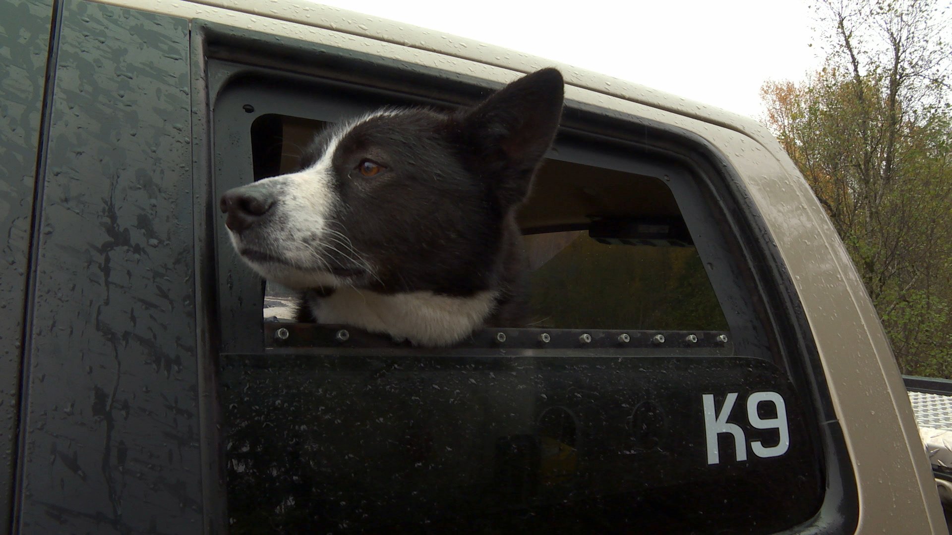 4. Law-breaking Father And Daughter