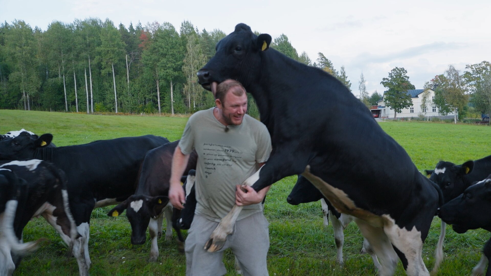 3. Bajskaos och romantik