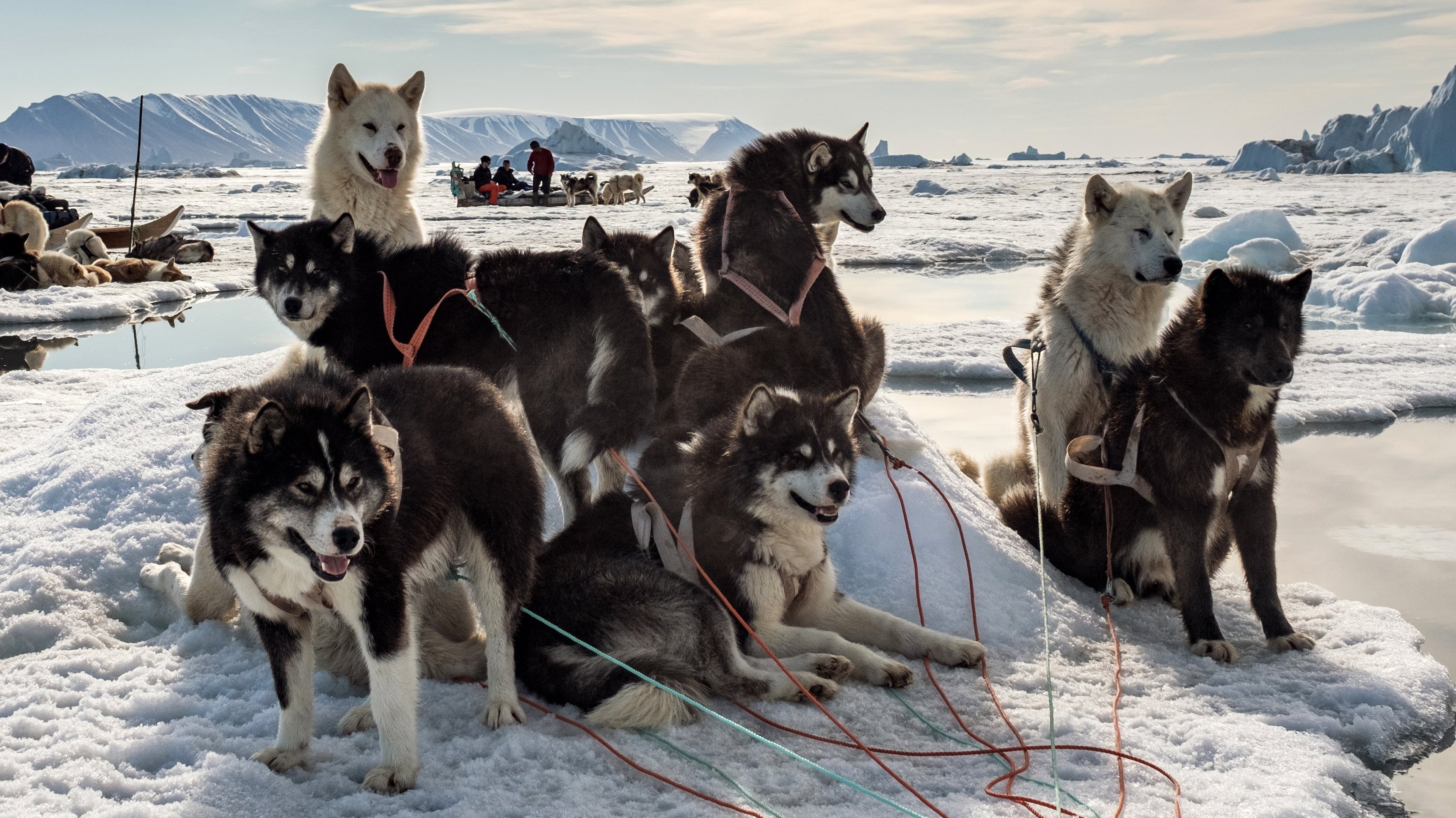 6. Vår frusna planet