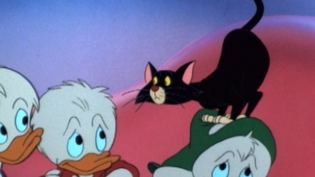 35. Katt och råtta