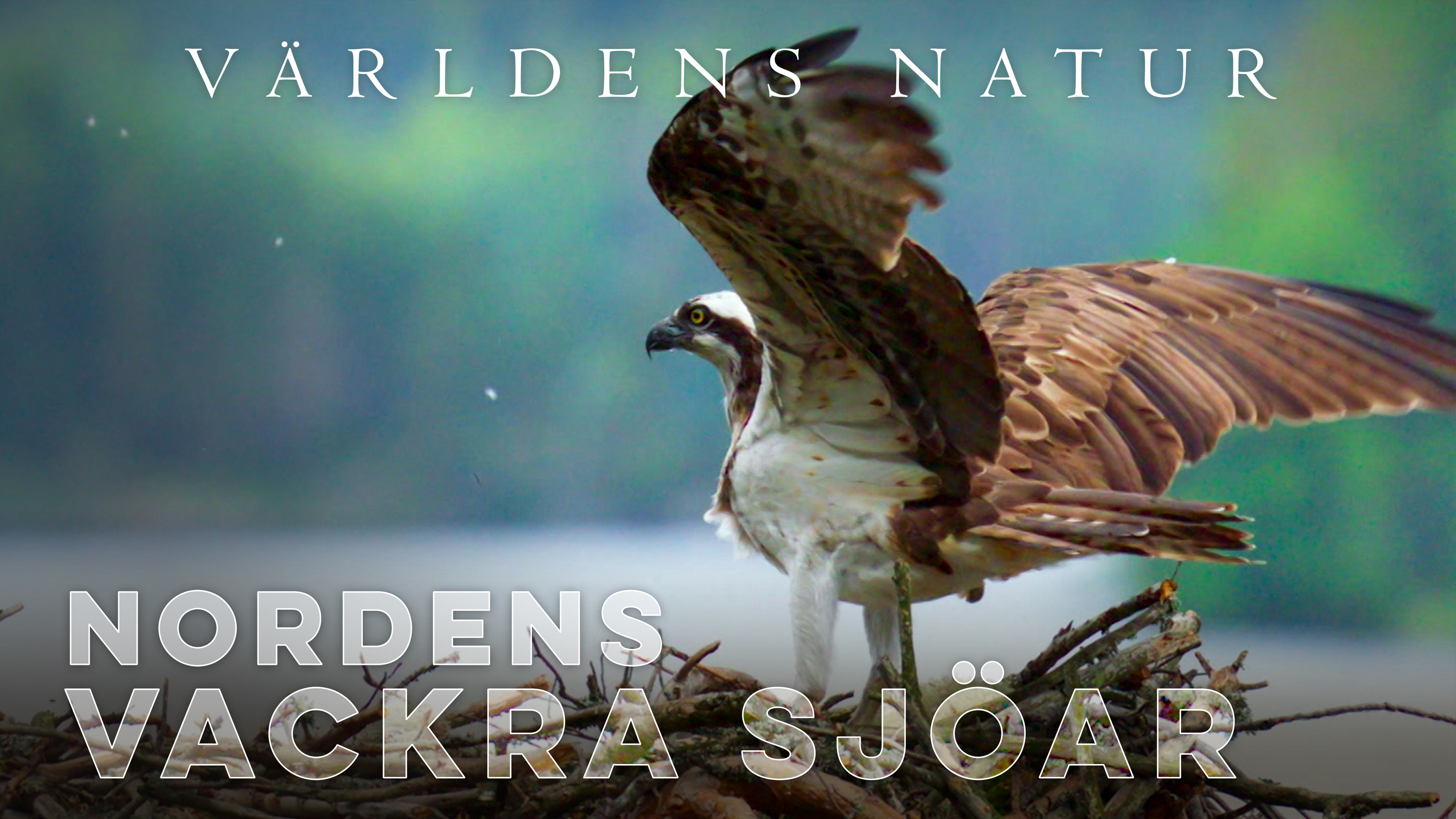 Världens natur: Nordens vackra sjöar