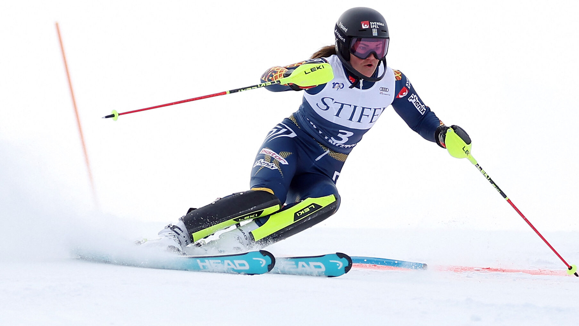 FIS Alpine Ski World Cup