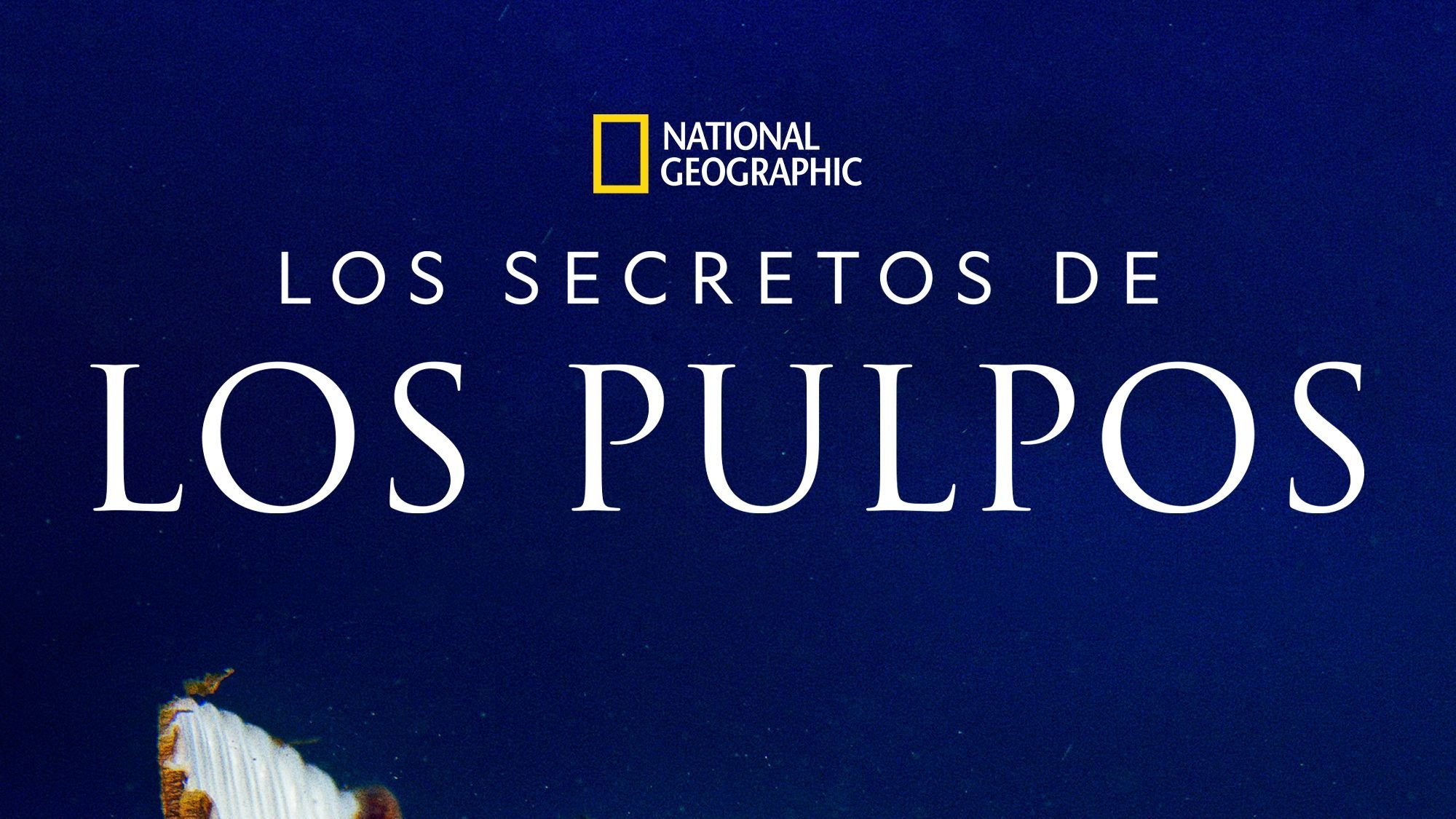 Secrets of the Octopus