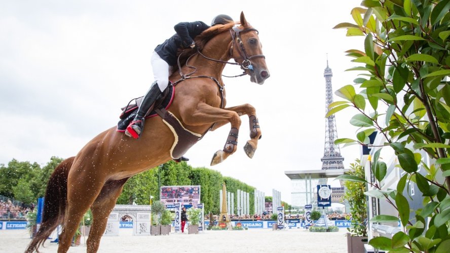 Hopp | Valkenswaard