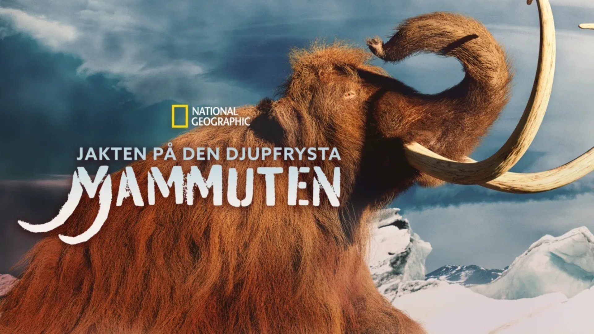 Jakten på den djupfrysta mammuten