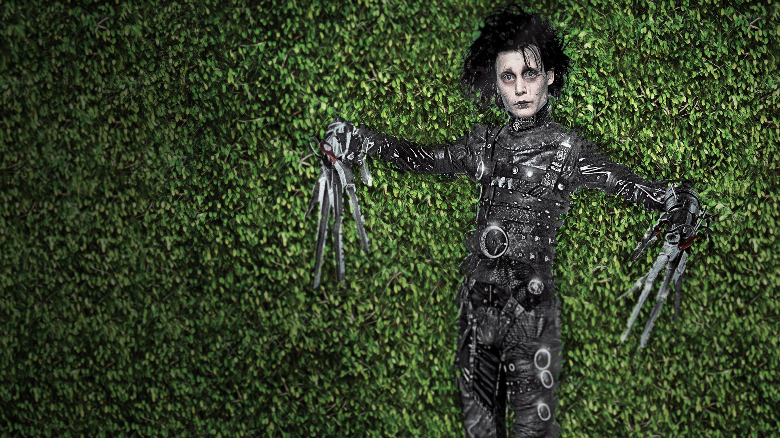 Edward Scissorhands