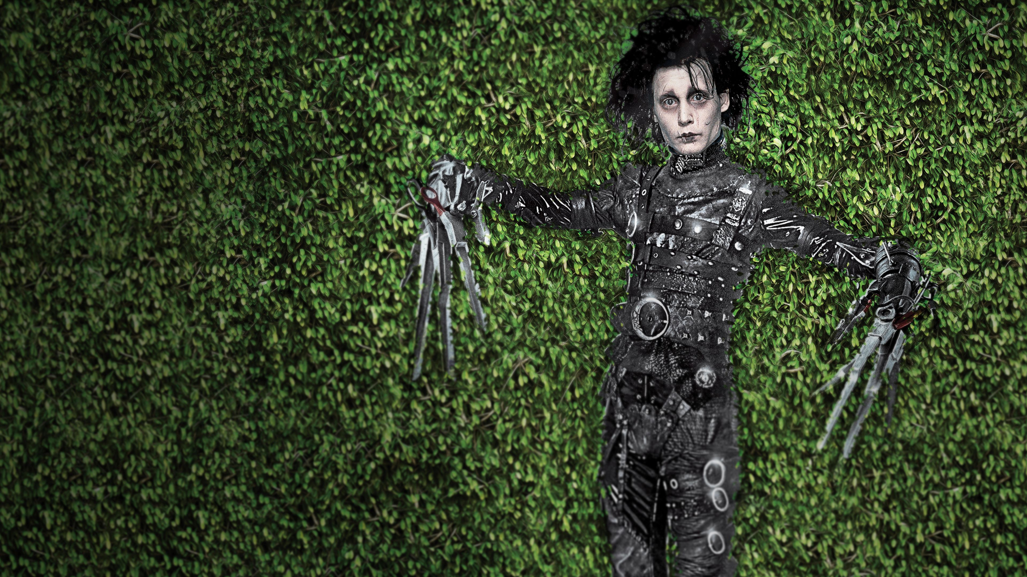 Edward Scissorhands