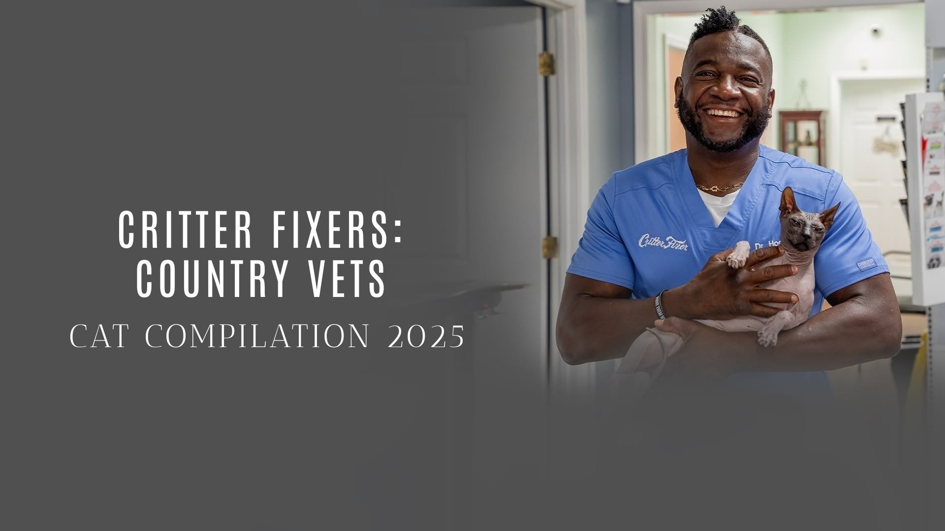 Critter Fixers: Country Vets: Cat Compilation 2025