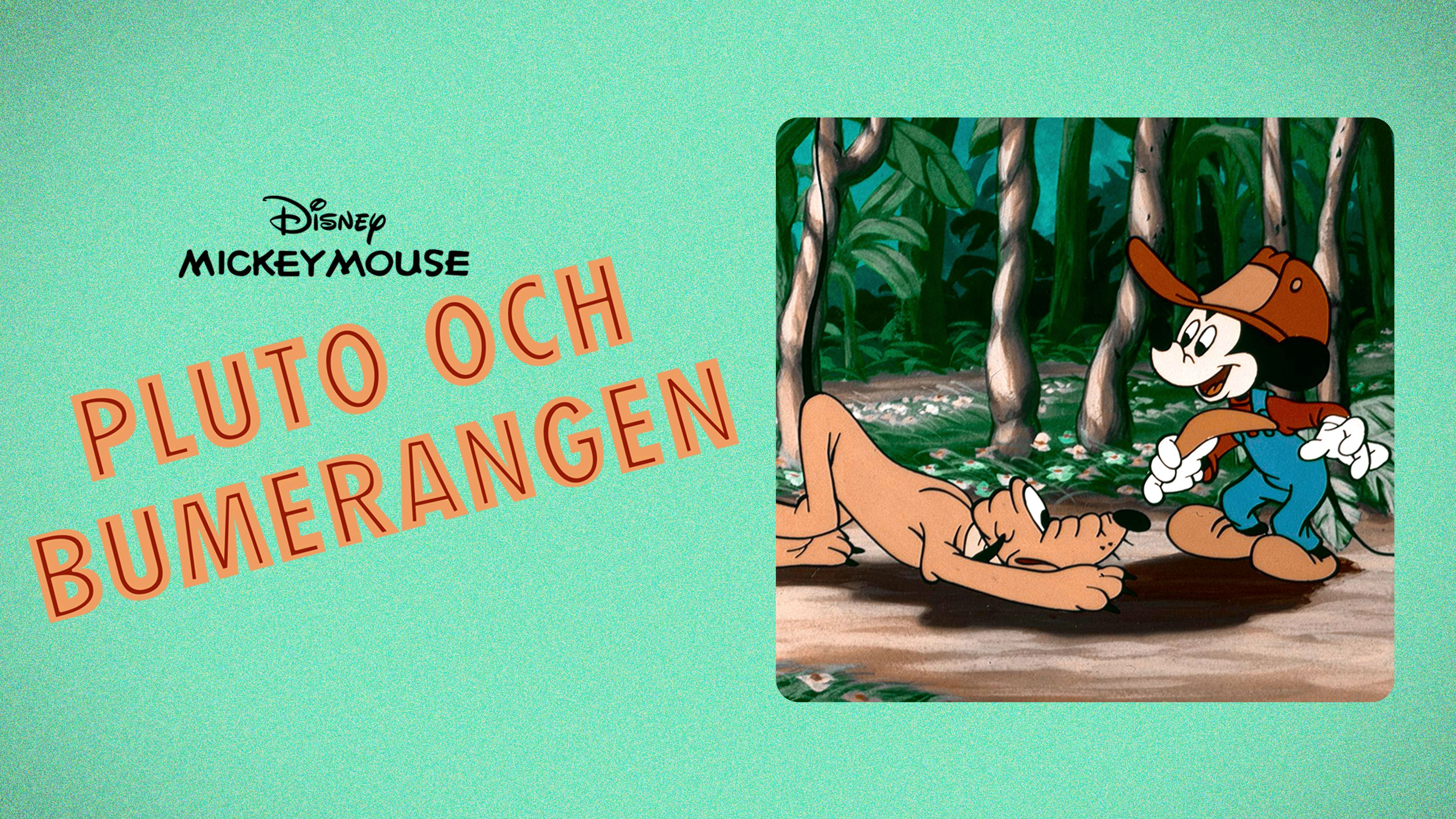 Pluto och bumerangen