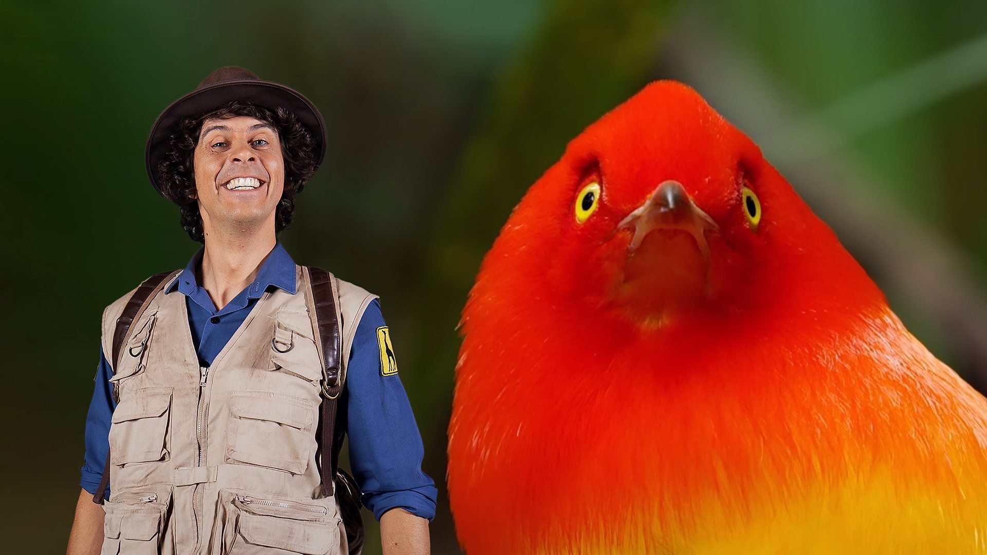 32. Andy och manakinerna