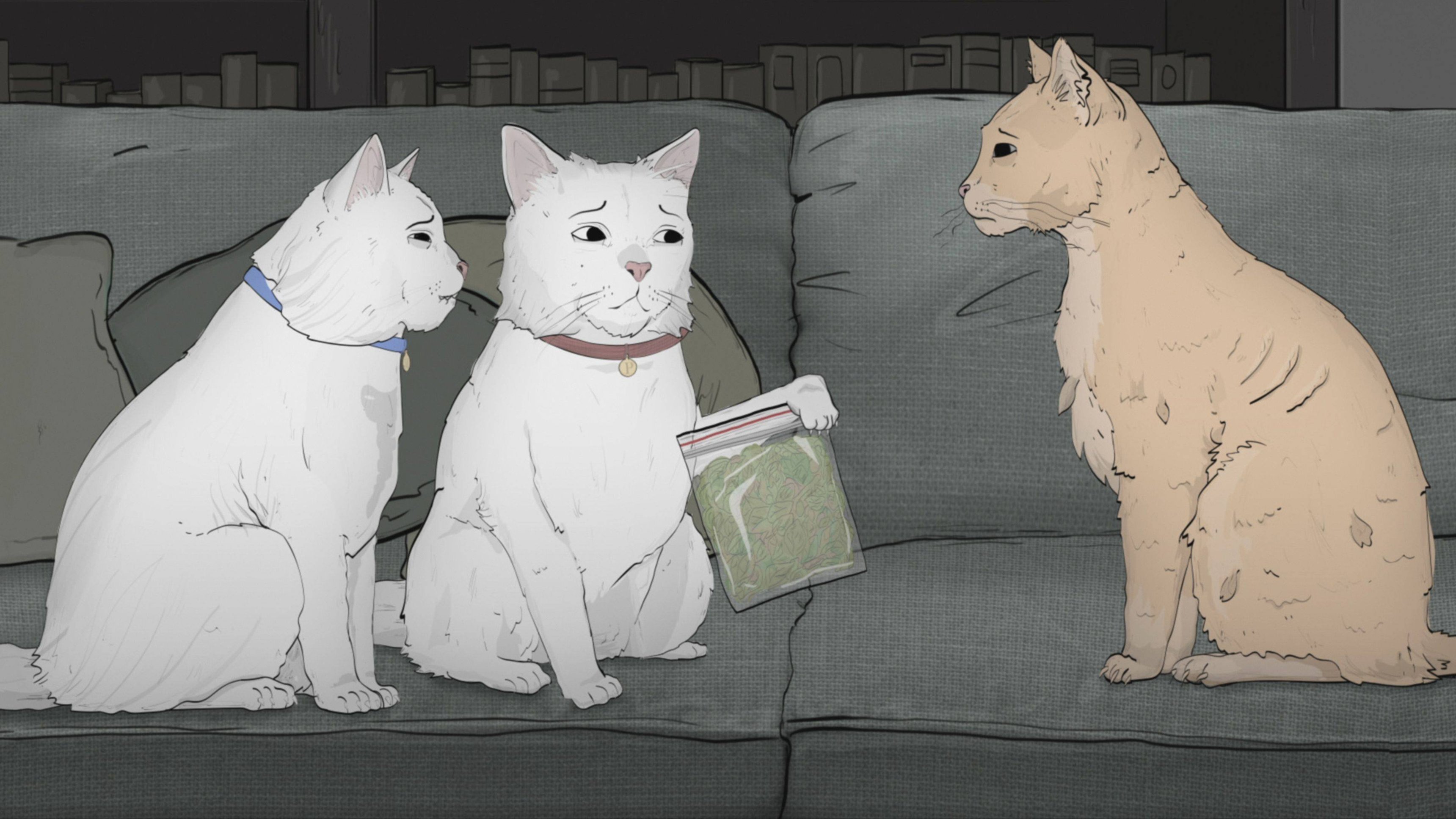 3. Episode Three: Cats