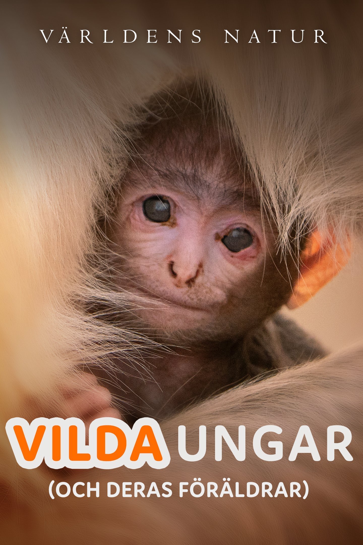 Världens natur: Vilda ungar (och deras föräldrar)