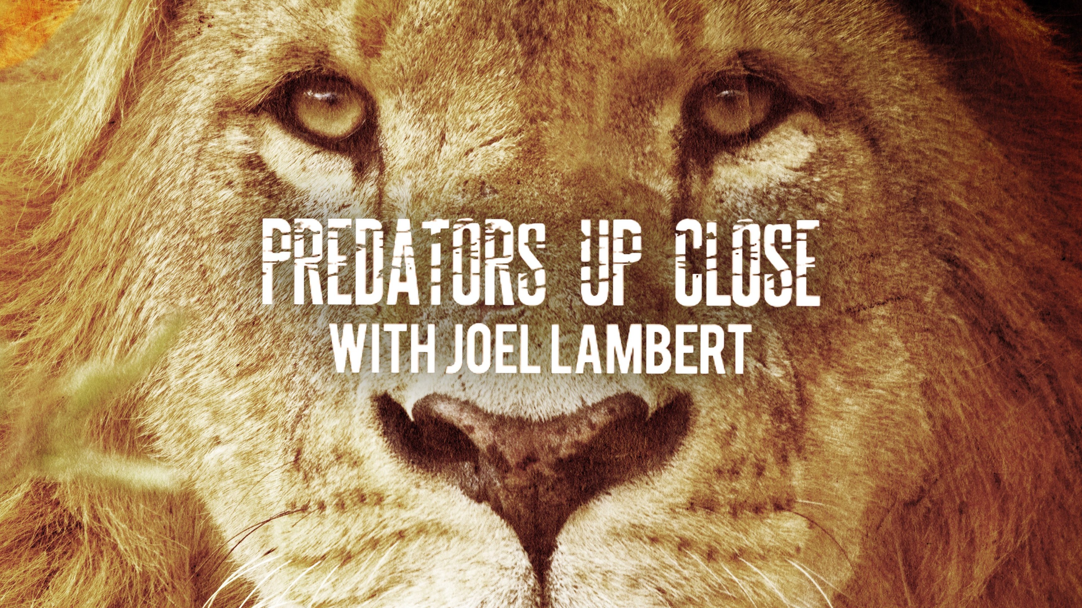Predators Up Close with Joel Lambert