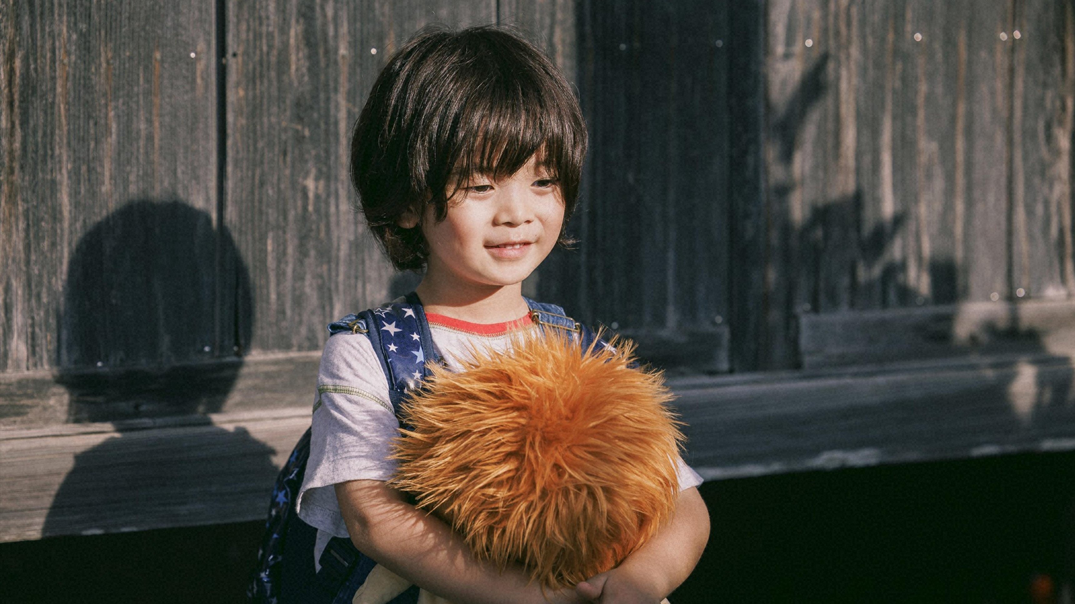 1. The Boy Called Lion