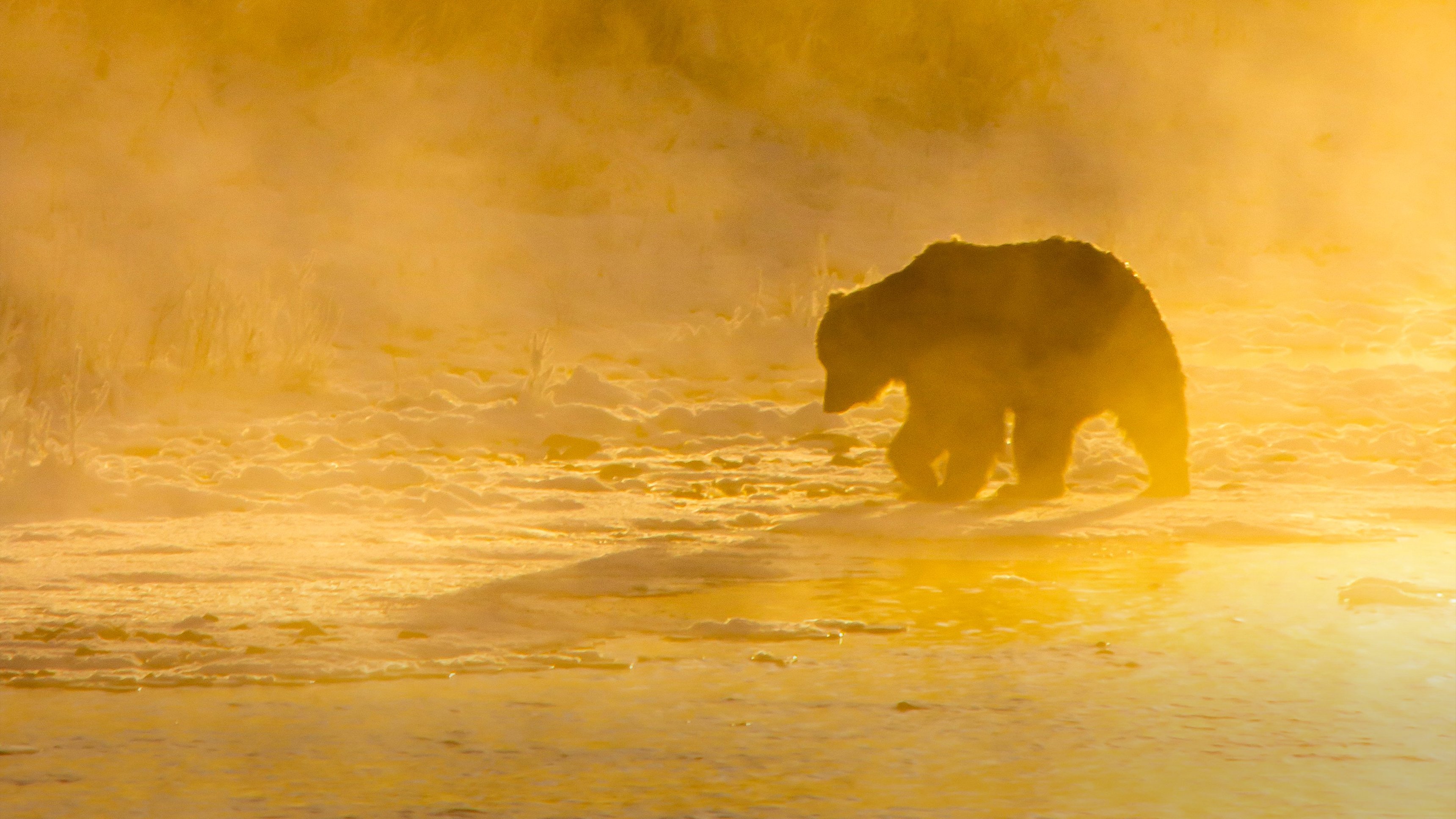 Världens natur: Höst