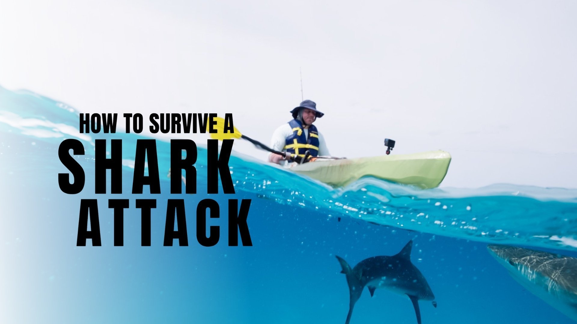 How To Survive A Shark Attack