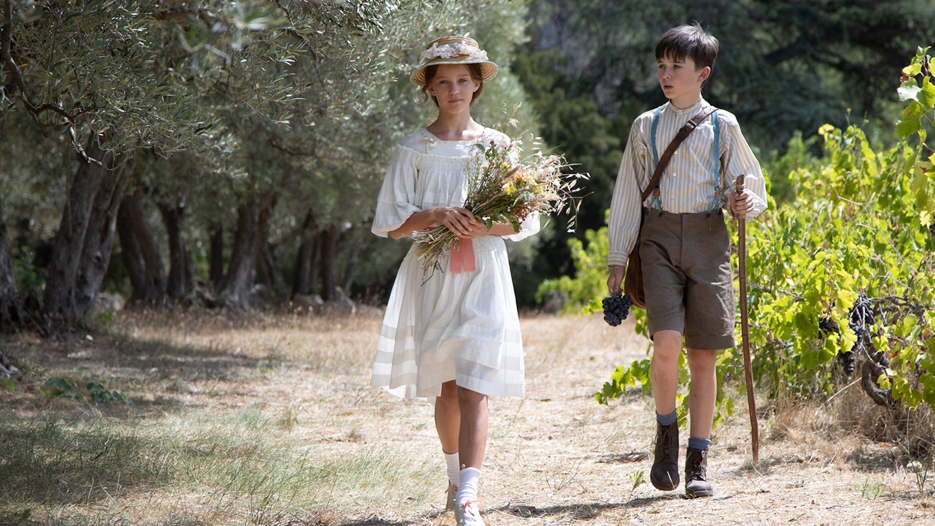 Min sommar i Provence