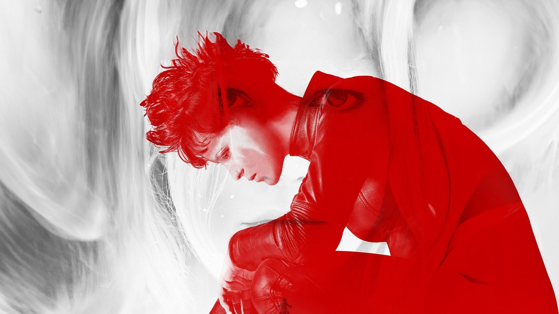 The Girl in the Spider's Web