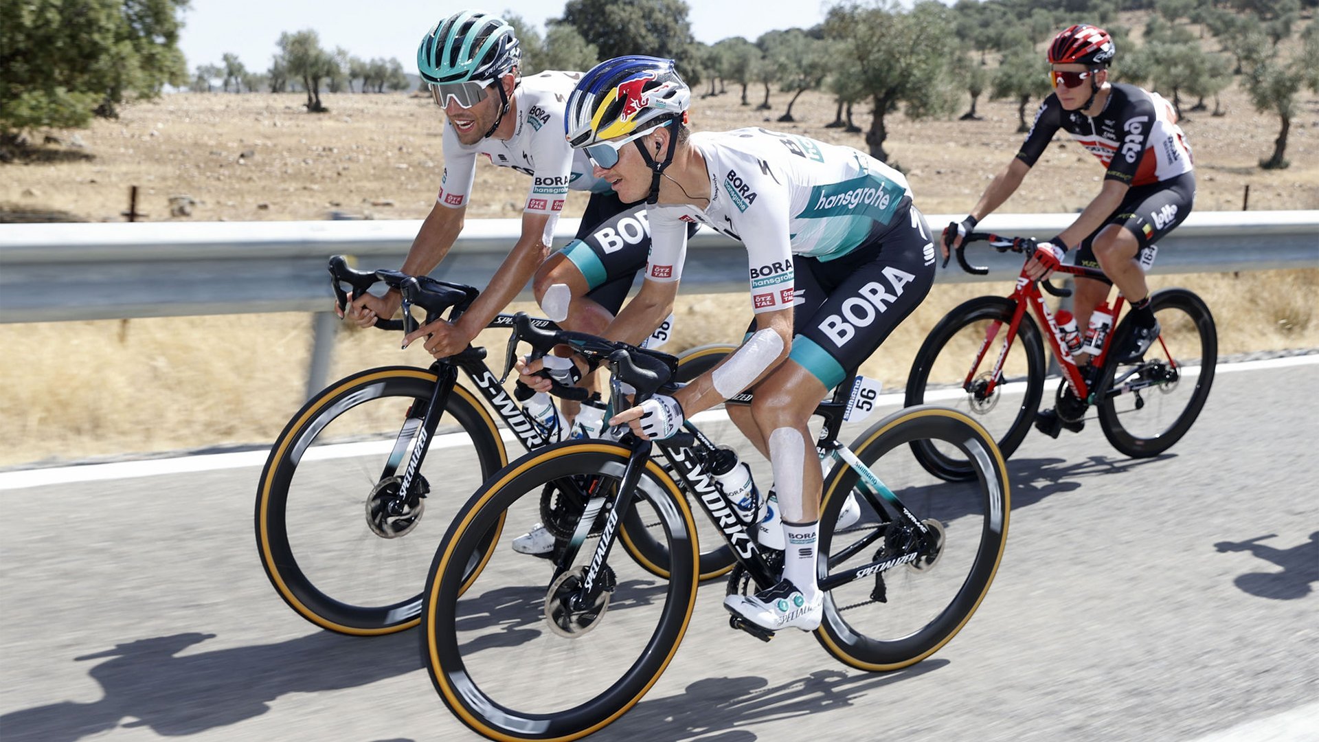 Anton Palzer: Breaking the Cycle