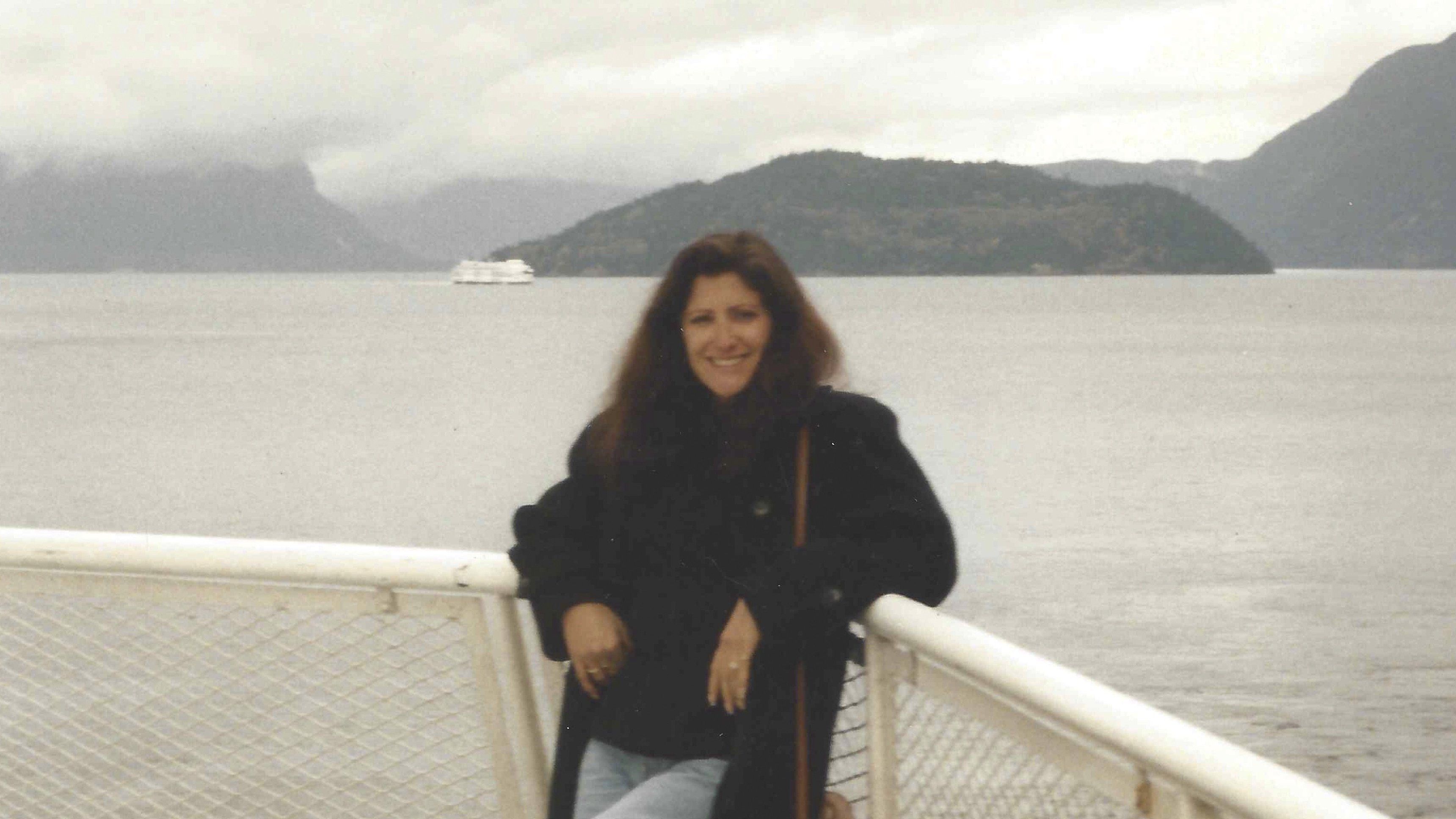 3. Silicon Valley Vanishing